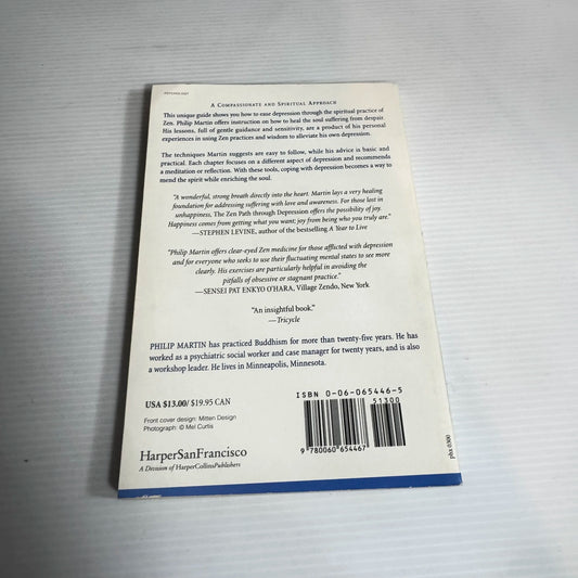 The Zen Path Through Depression - Philip Martin