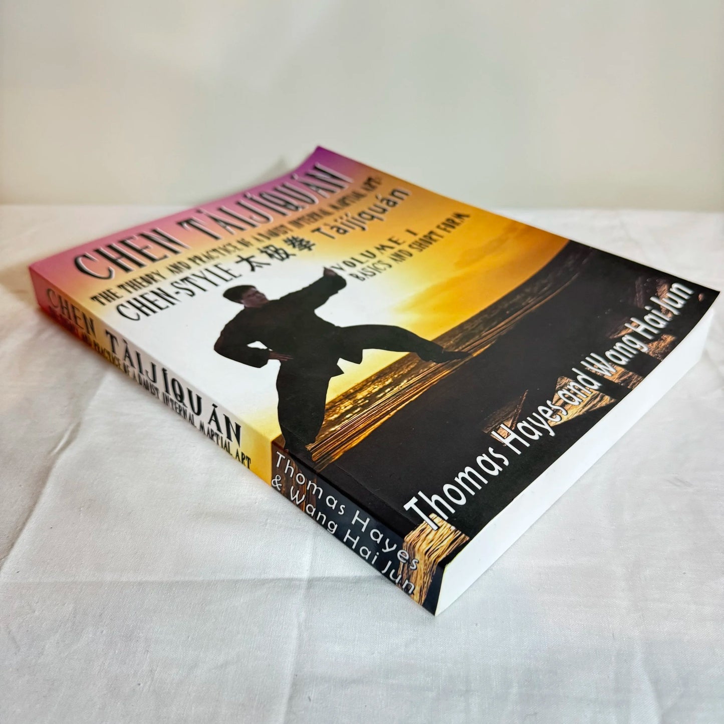 Chen Tàijìquàn - The Theory & Practice of a Daoist Internal Martial Art