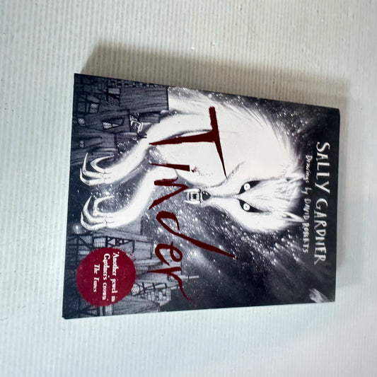 Tinder - Sally Gardner : Graphic Novel