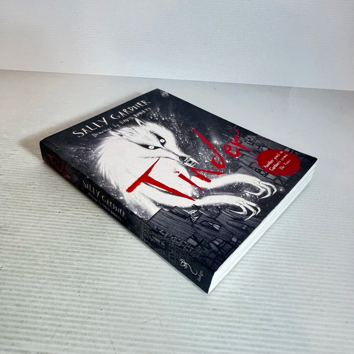 Tinder - Sally Gardner : Graphic Novel