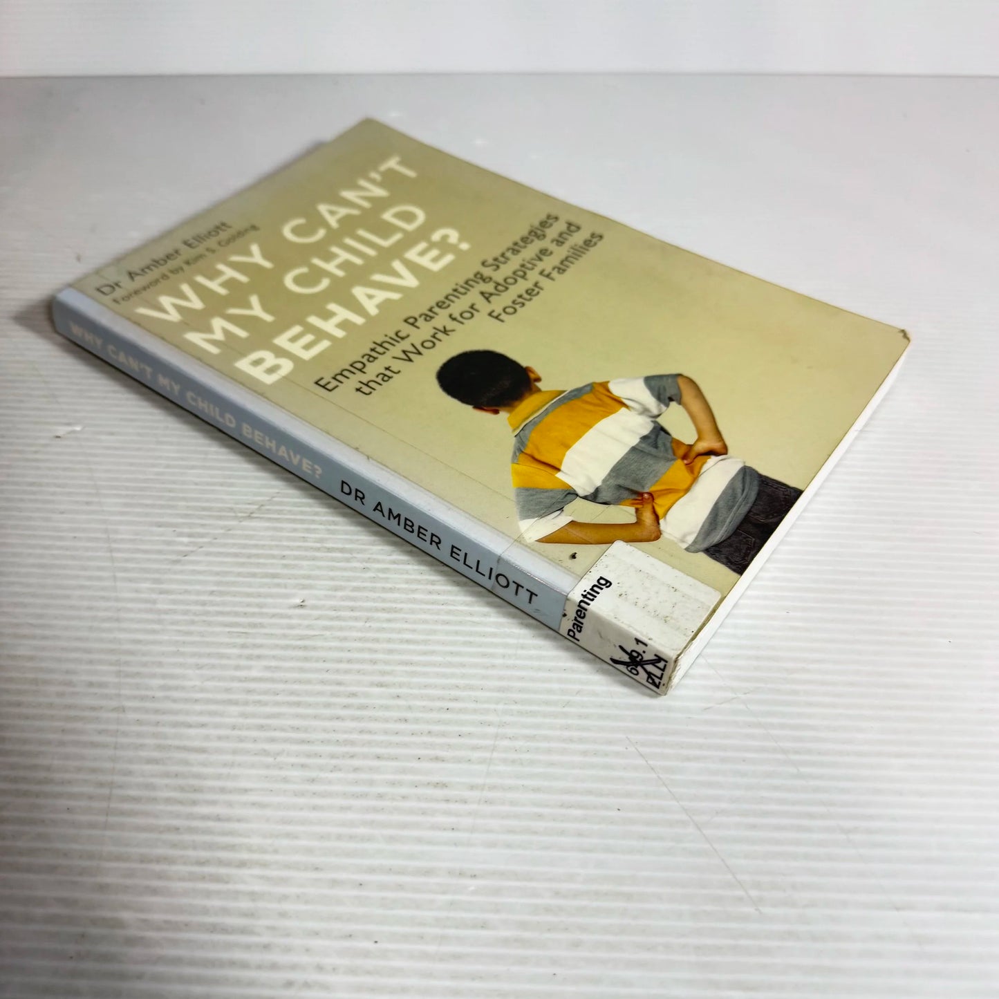 Why Can't My Child Behave?  - Dr Amber Elliott