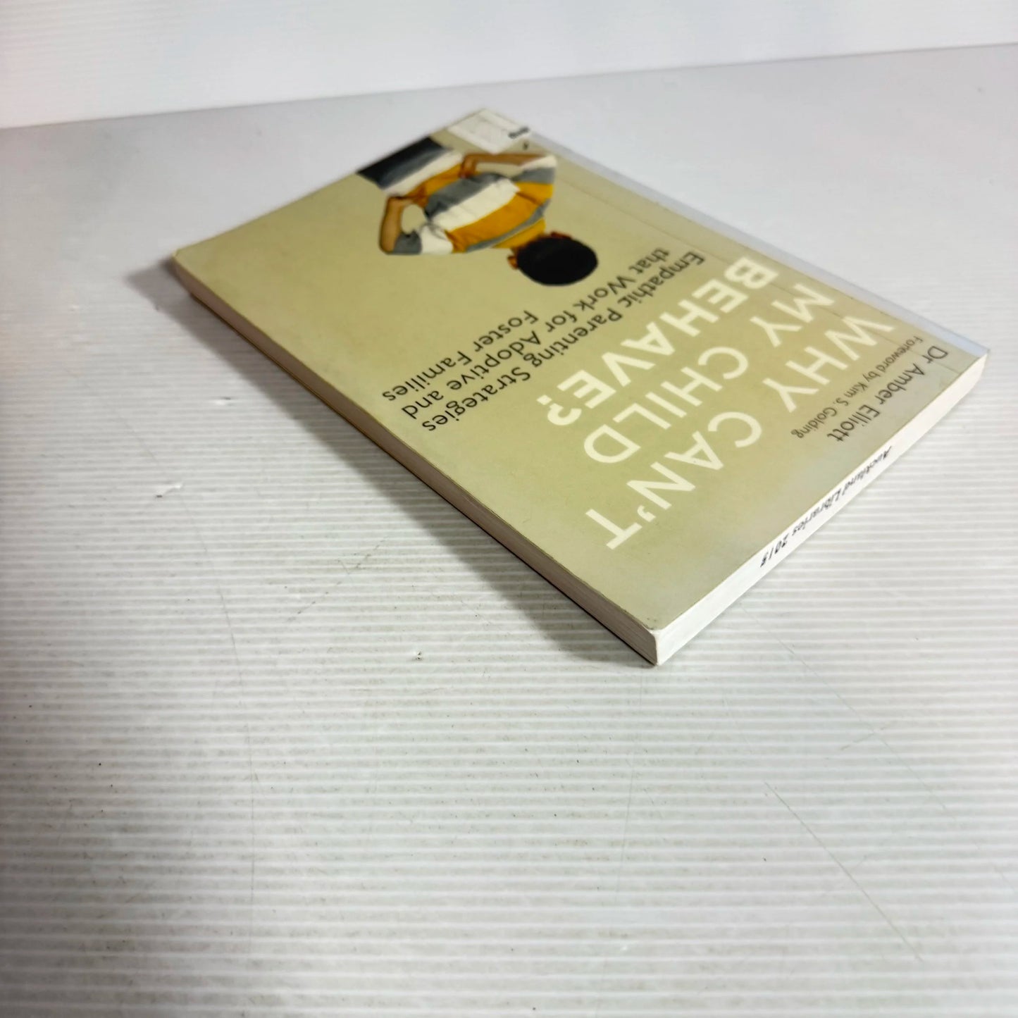 Why Can't My Child Behave?  - Dr Amber Elliott