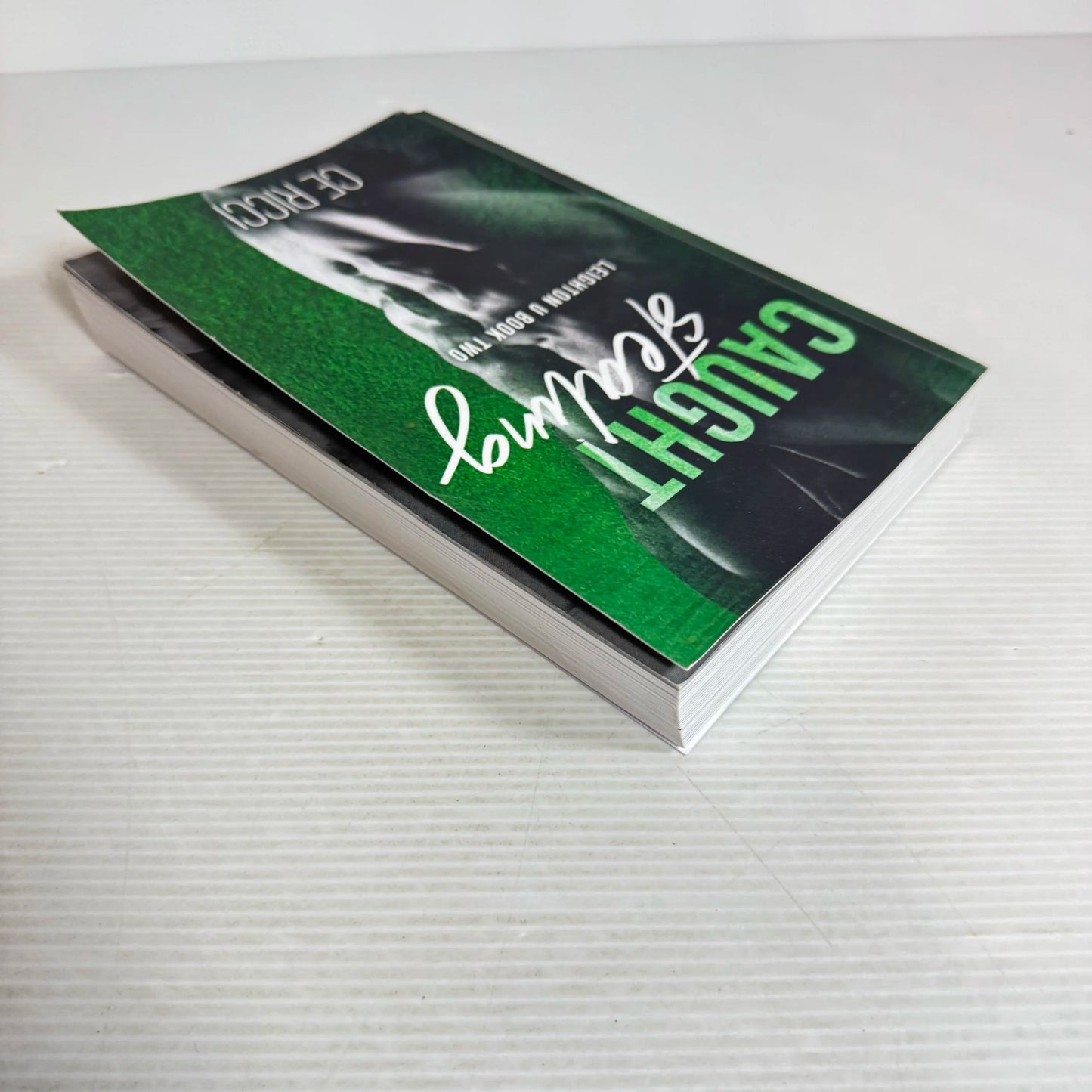 Caught Stealing (Leighton U Book Two) - Ce Ricci