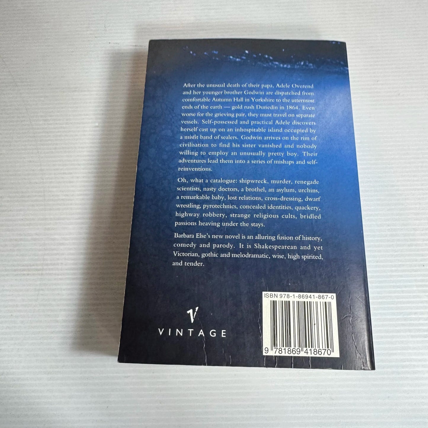 Wild Latitudes - Barbara Else
