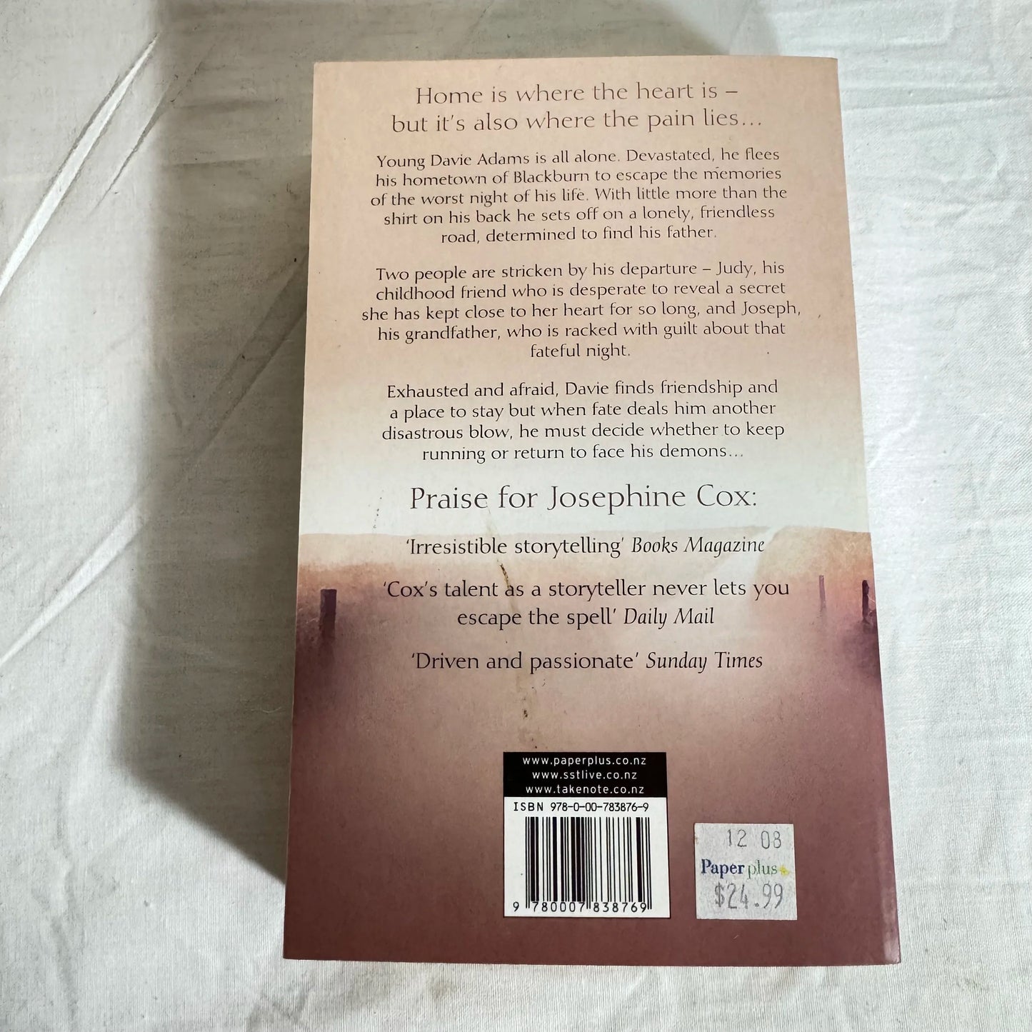 The Loner ~ Josephine Cox