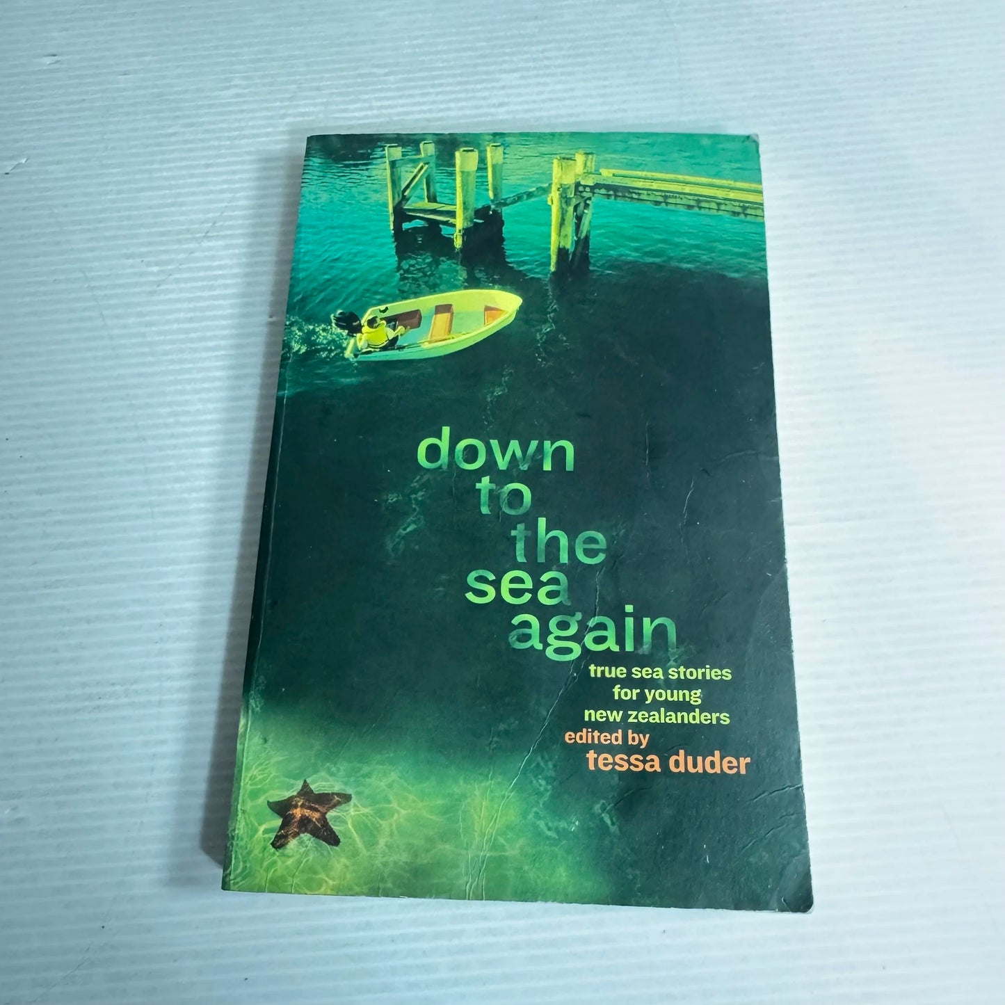 Down To The Sea Again -  Tessa Duder