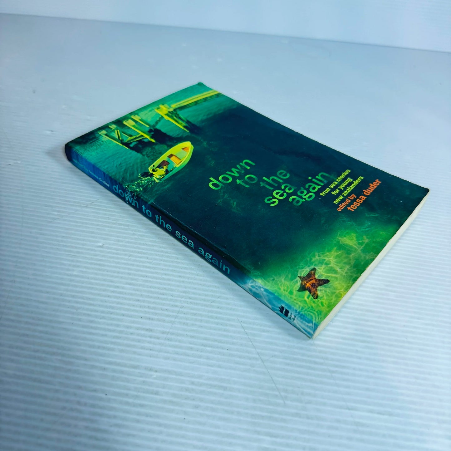 Down To The Sea Again -  Tessa Duder