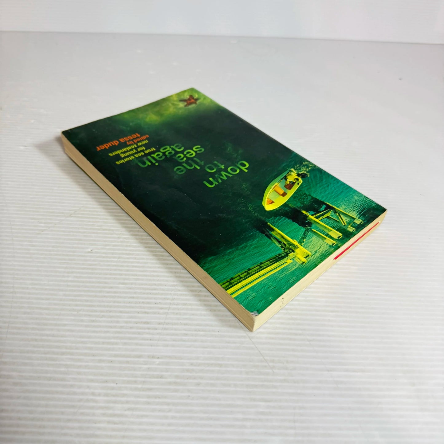 Down To The Sea Again -  Tessa Duder