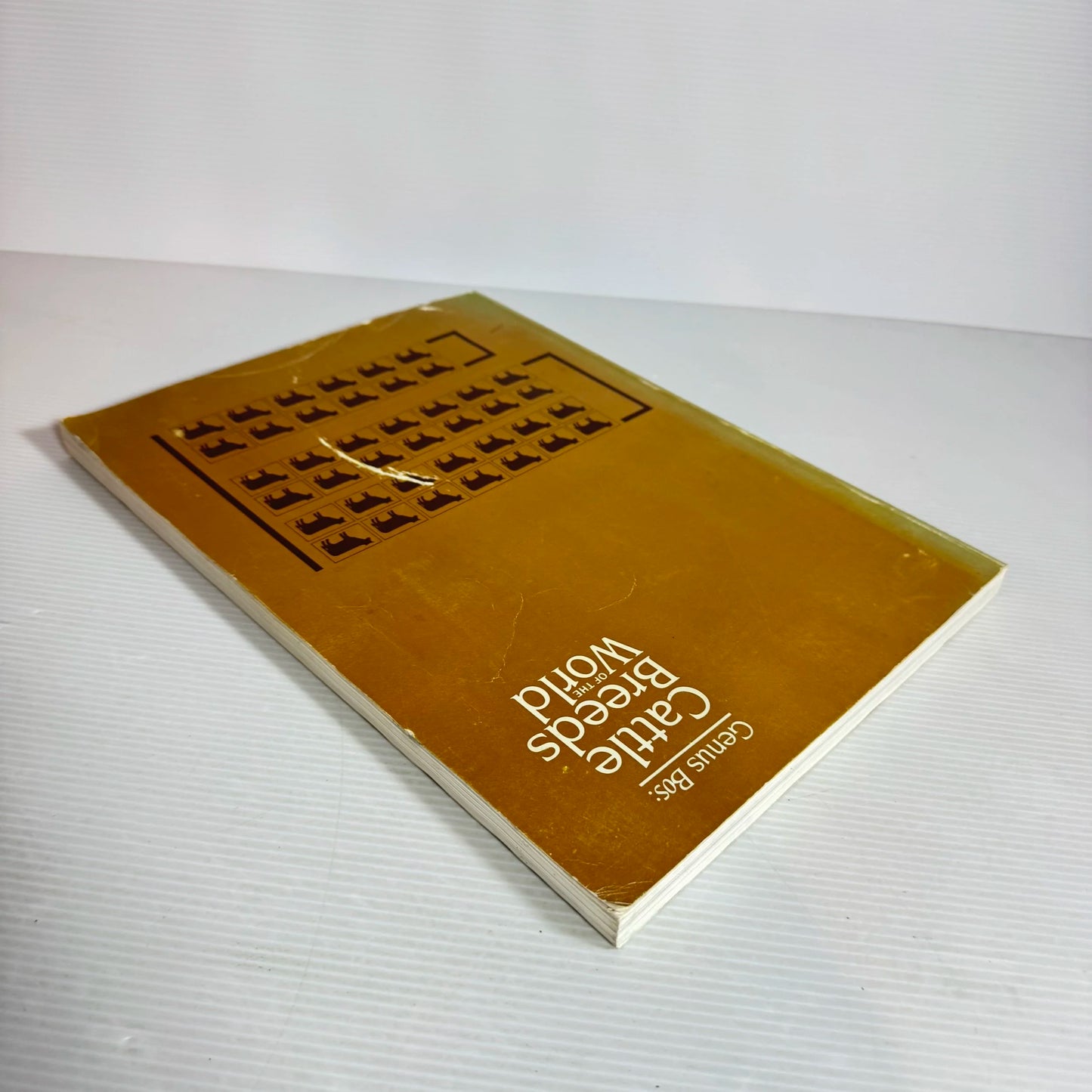 Genus Bos: Cattle Breeds Of The World