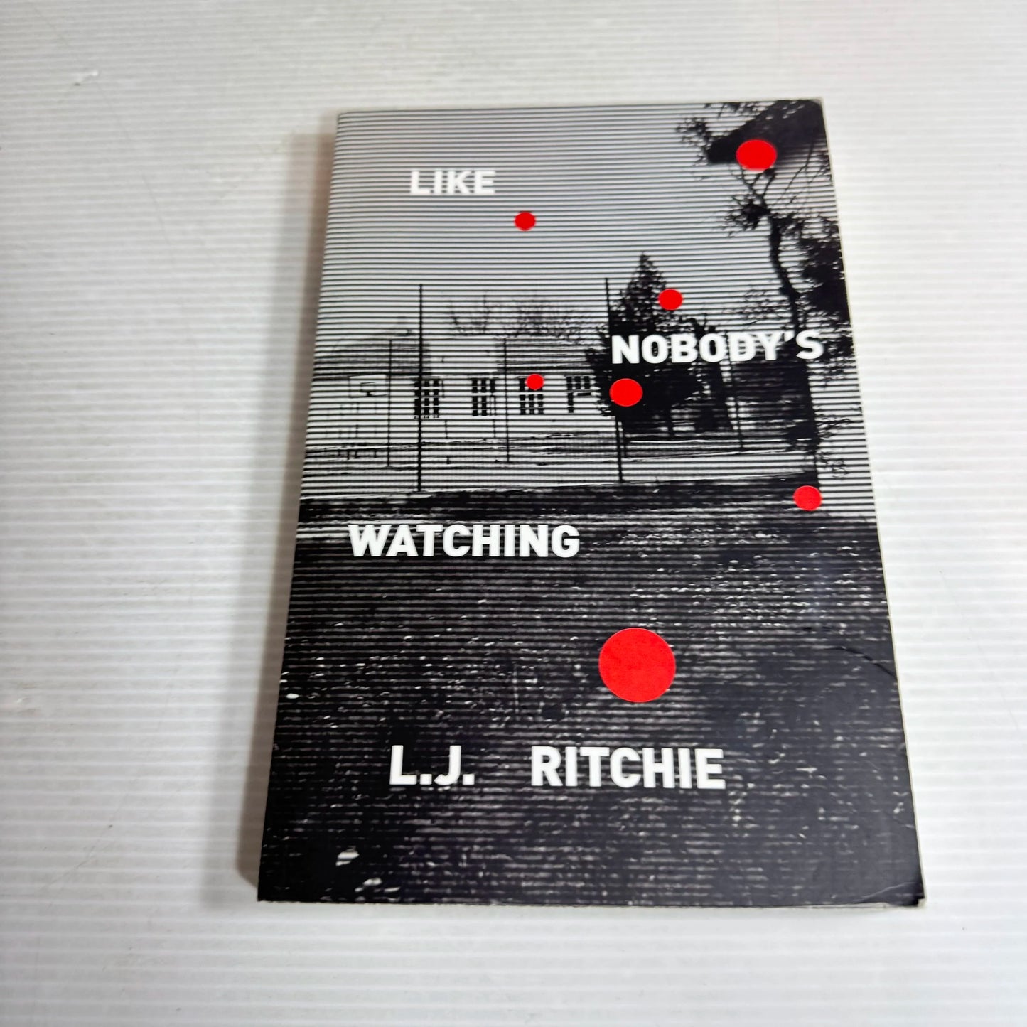 Like Nobody's Watching - L.J. Ritchie