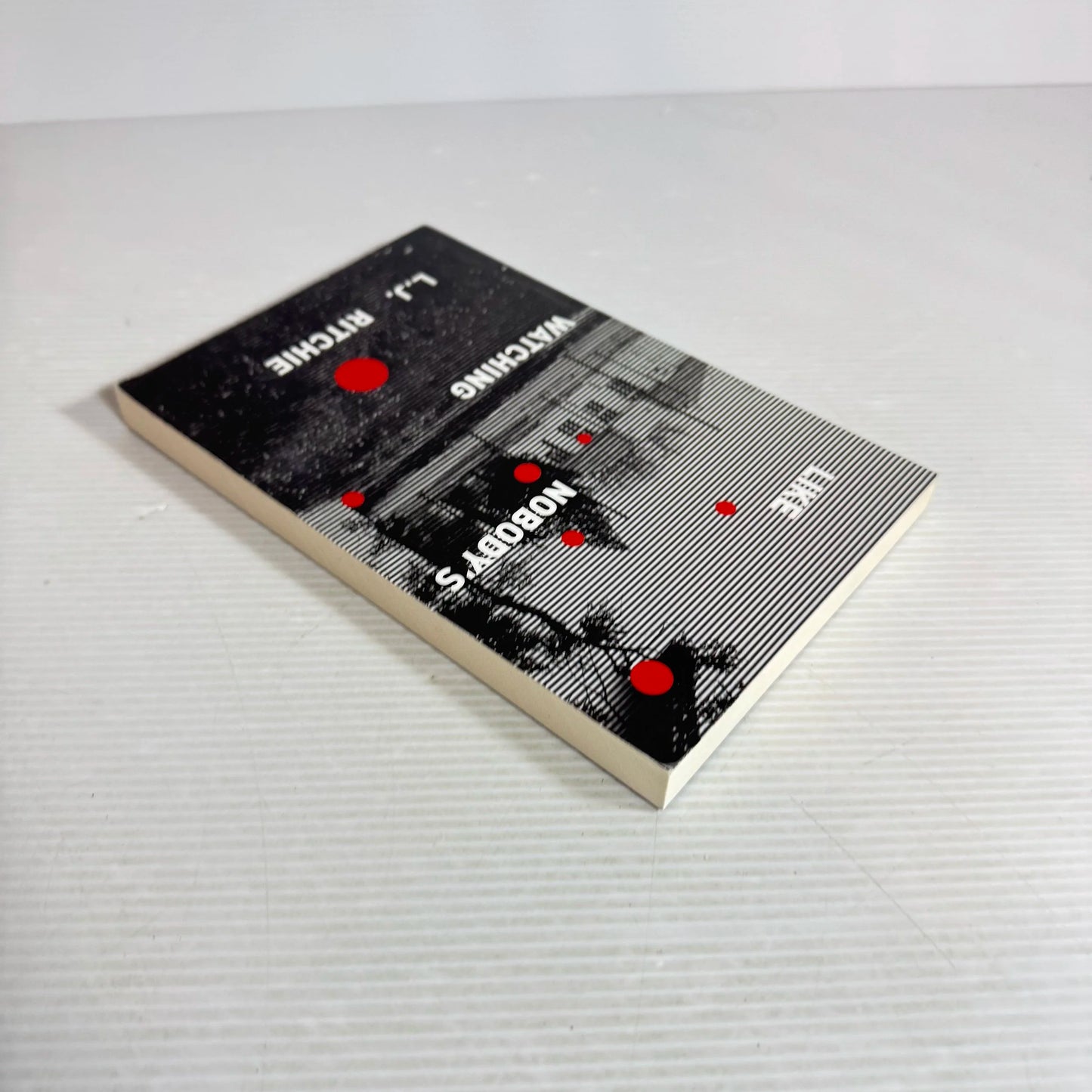 Like Nobody's Watching - L.J. Ritchie