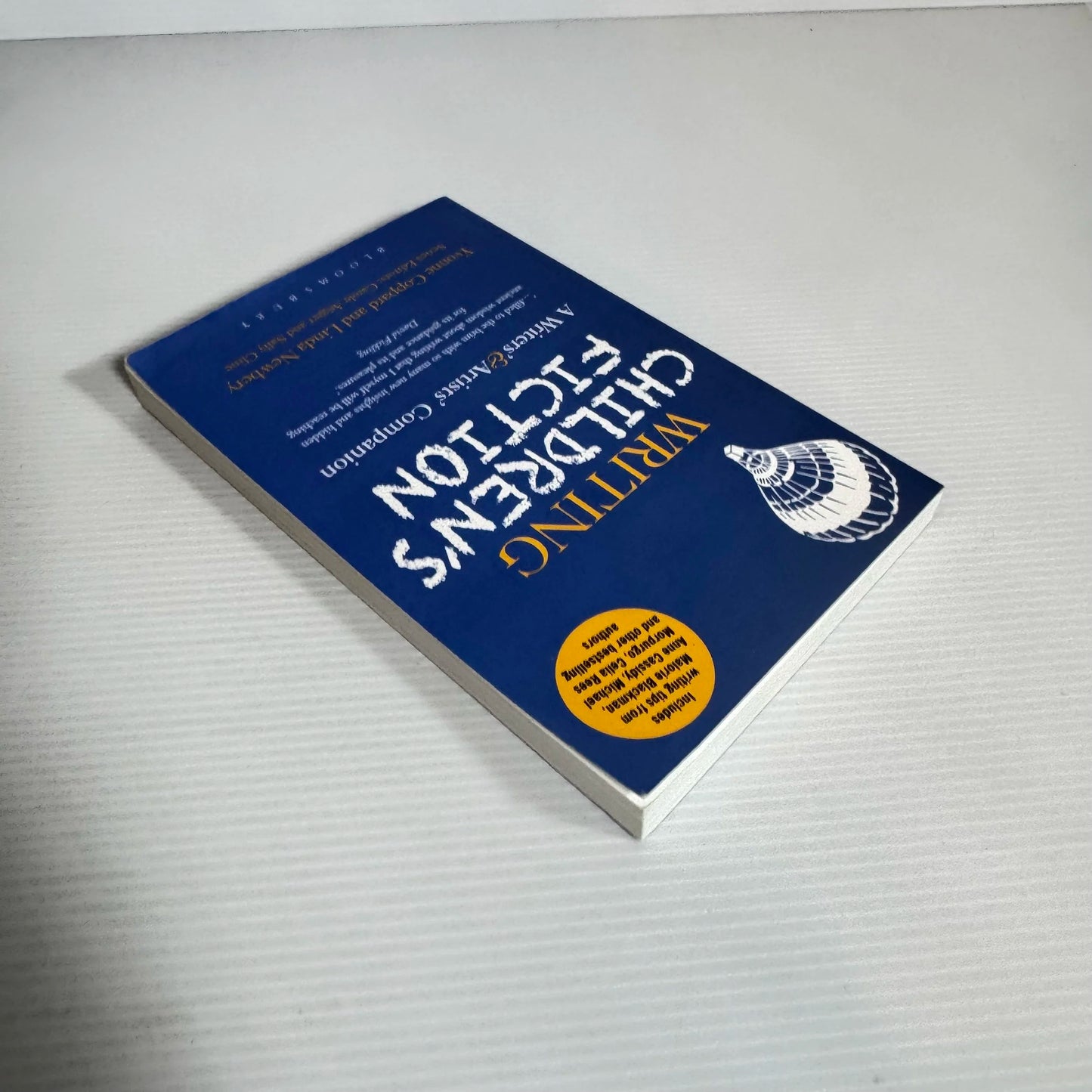 Writing Children's Fiction : A Writers' & Artists' Companion - Yvonne Coppard and Linda Newbery