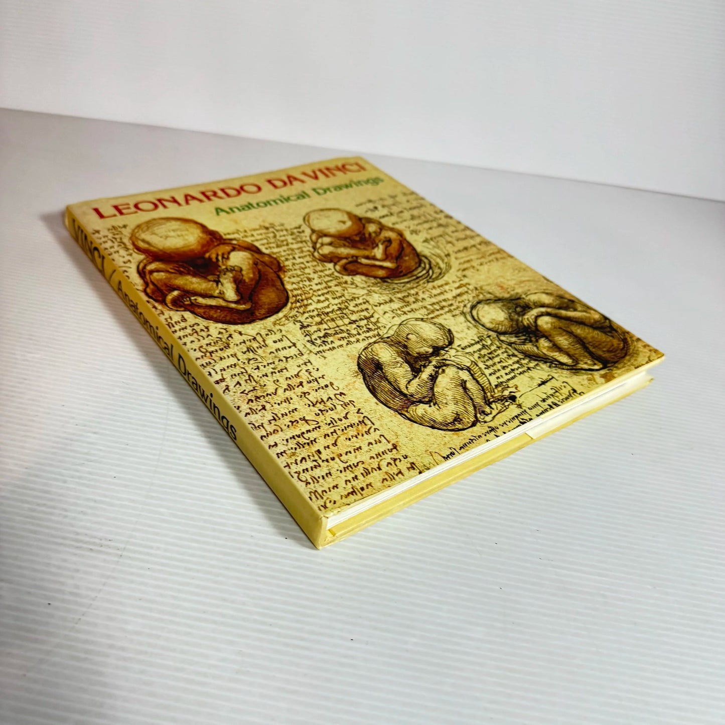 Anatomical Drawings - Leonardo Da Vinci