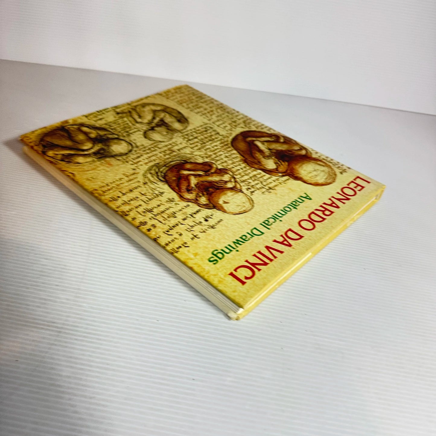 Anatomical Drawings - Leonardo Da Vinci