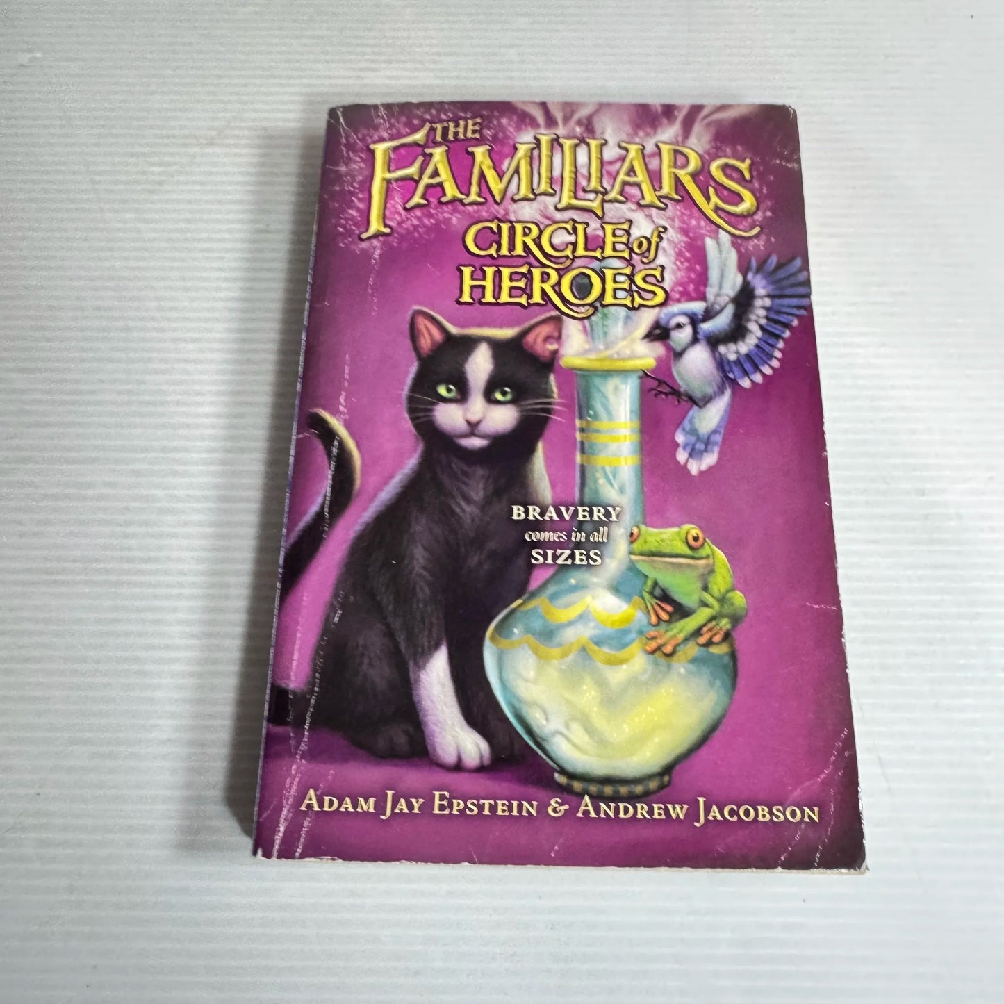 The Familiars: Circle Of Heroes - Adam Jay Epstein & Andrew Jacobson