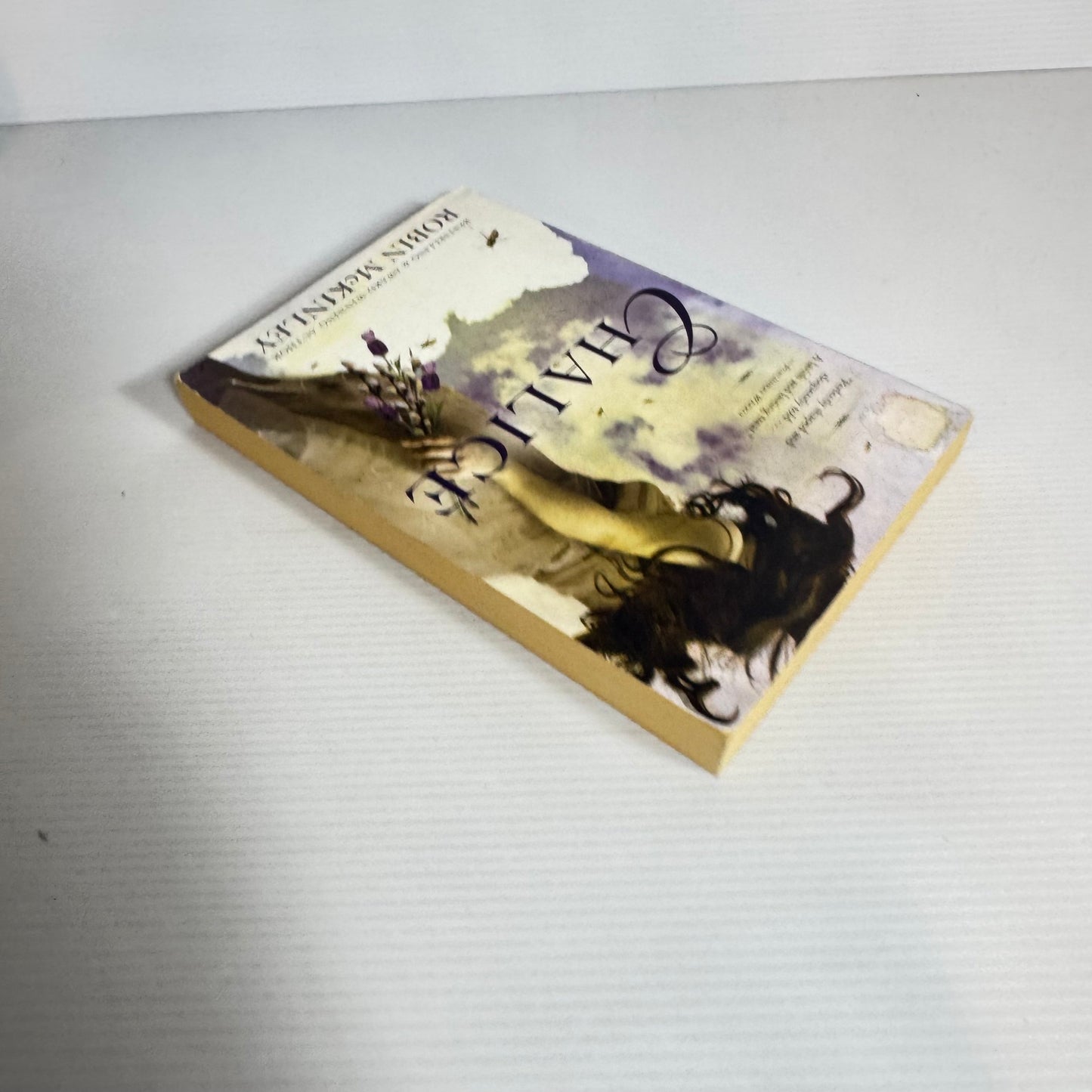 Chalice - Robin McKinley