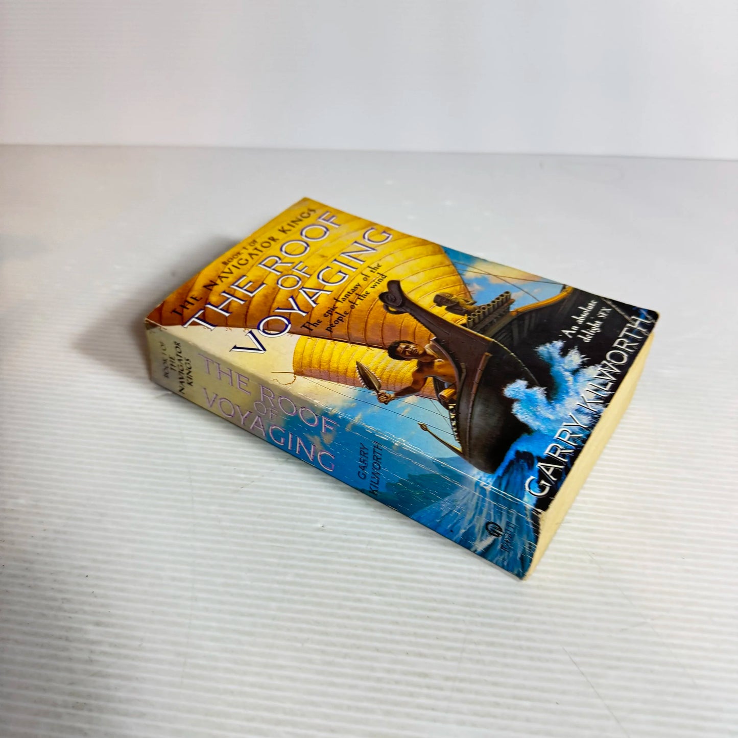 The Roof of Voyaging : Book 1 of The Navigator Kings - Garry Kilworth