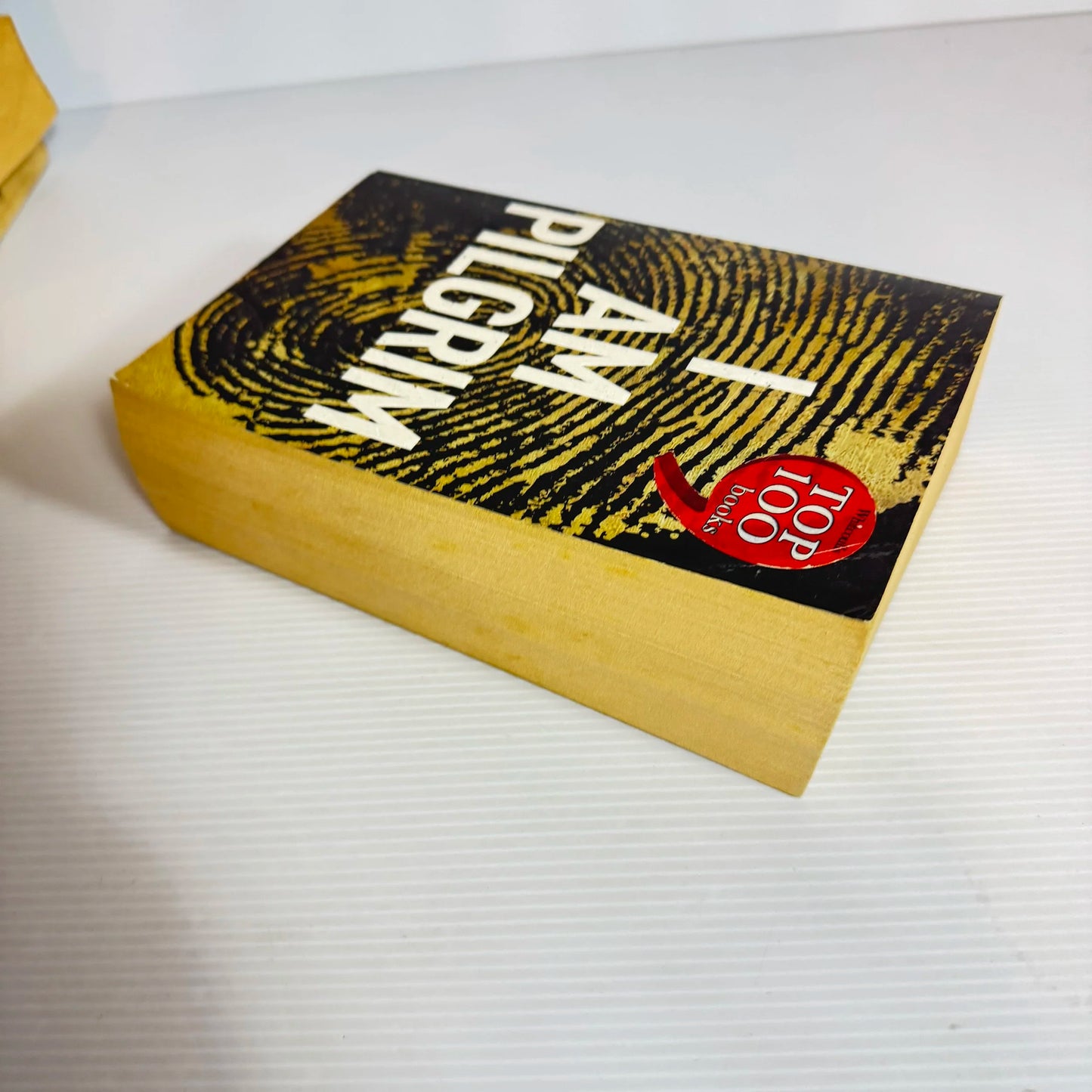 I Am Pilgrim - Terry Hayes