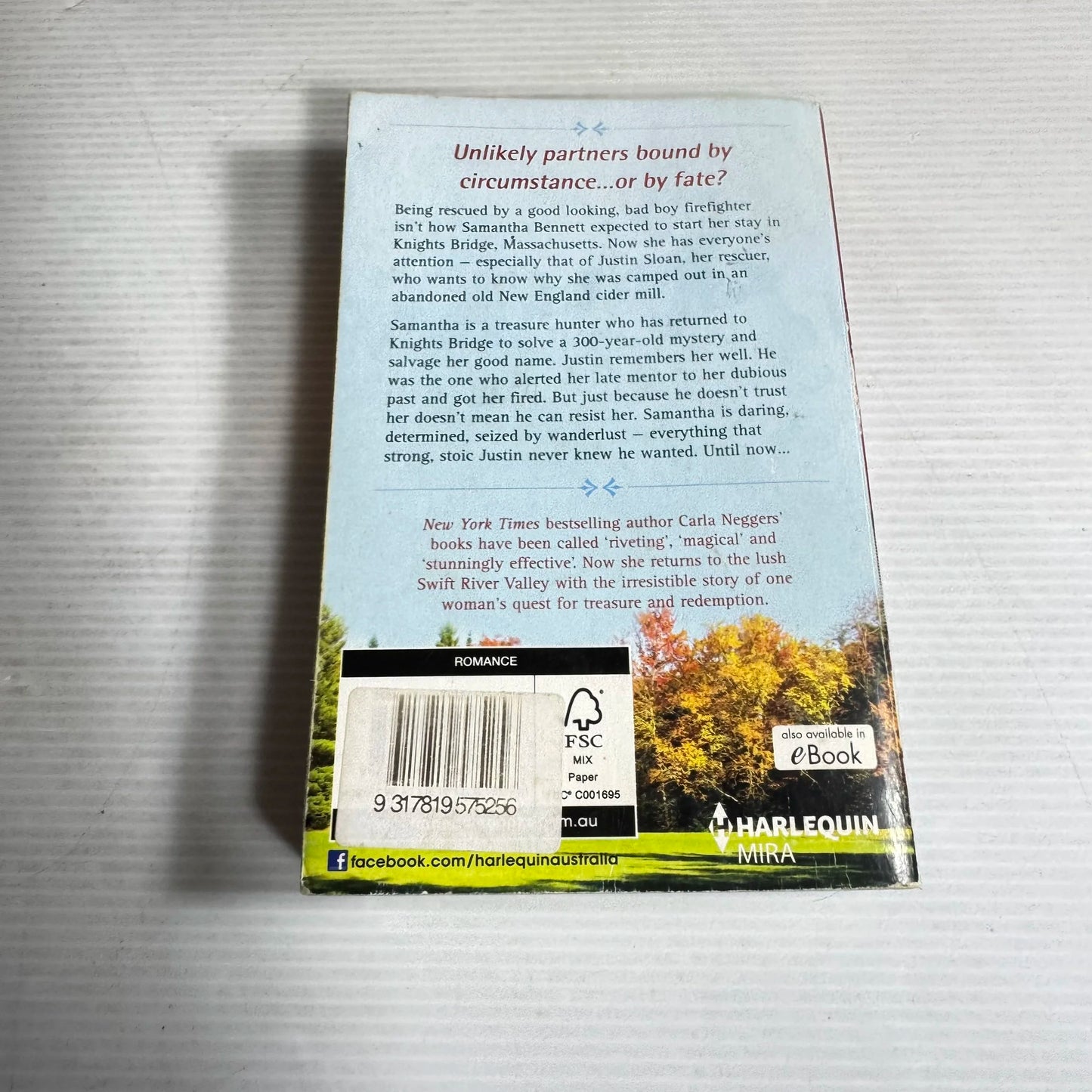 Cider Brook : A Swift River Valley Novel - Carla Neggers