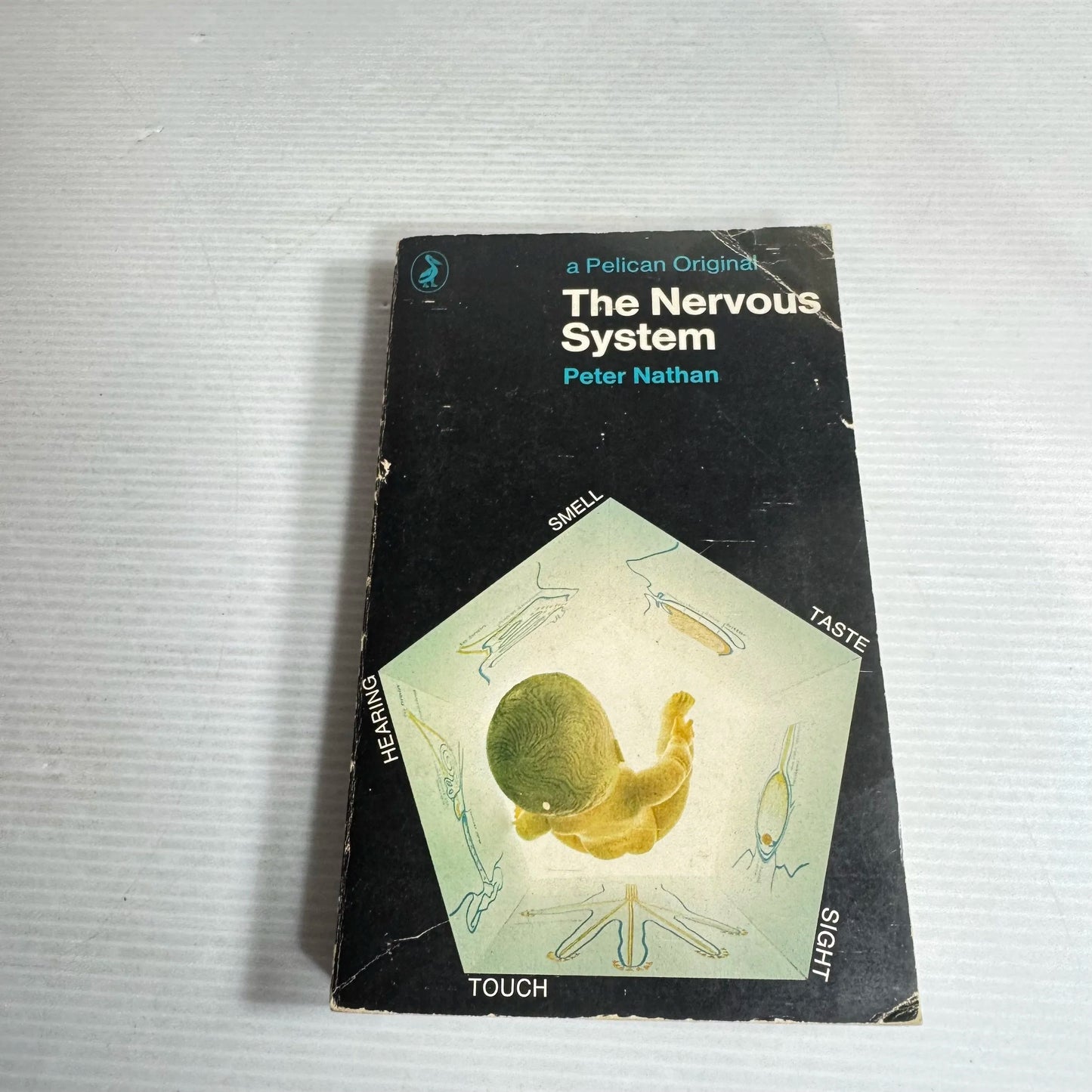 The Nervous System  - Peter Nathan (Vintage 1969)