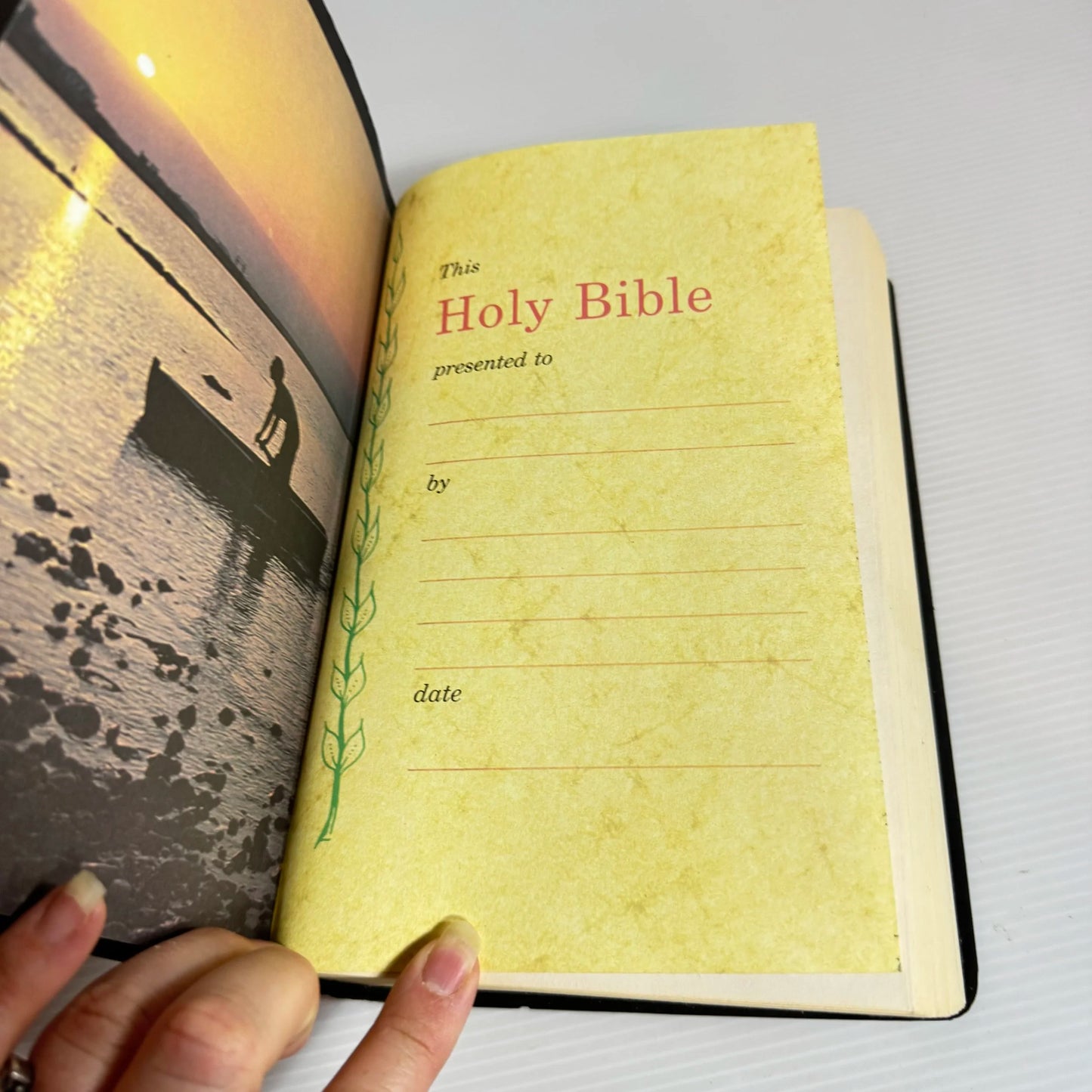 Holy Bible : King James Version : Dictionary/Concordance