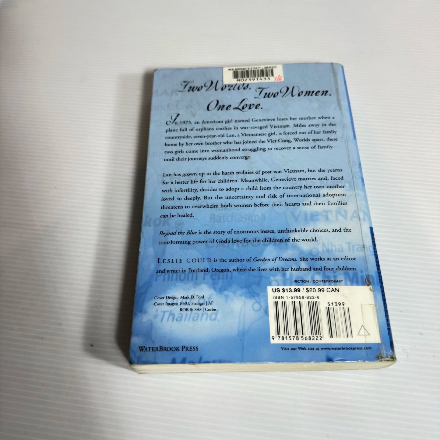 Beyond The Blue - Leslie Gould