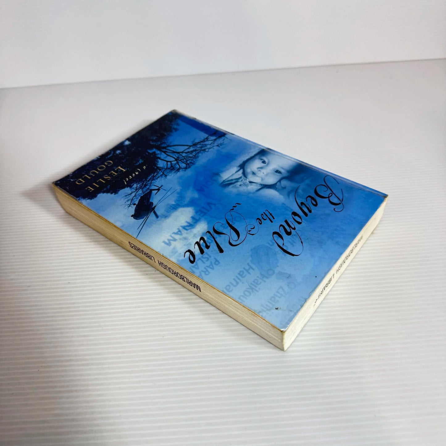 Beyond The Blue - Leslie Gould