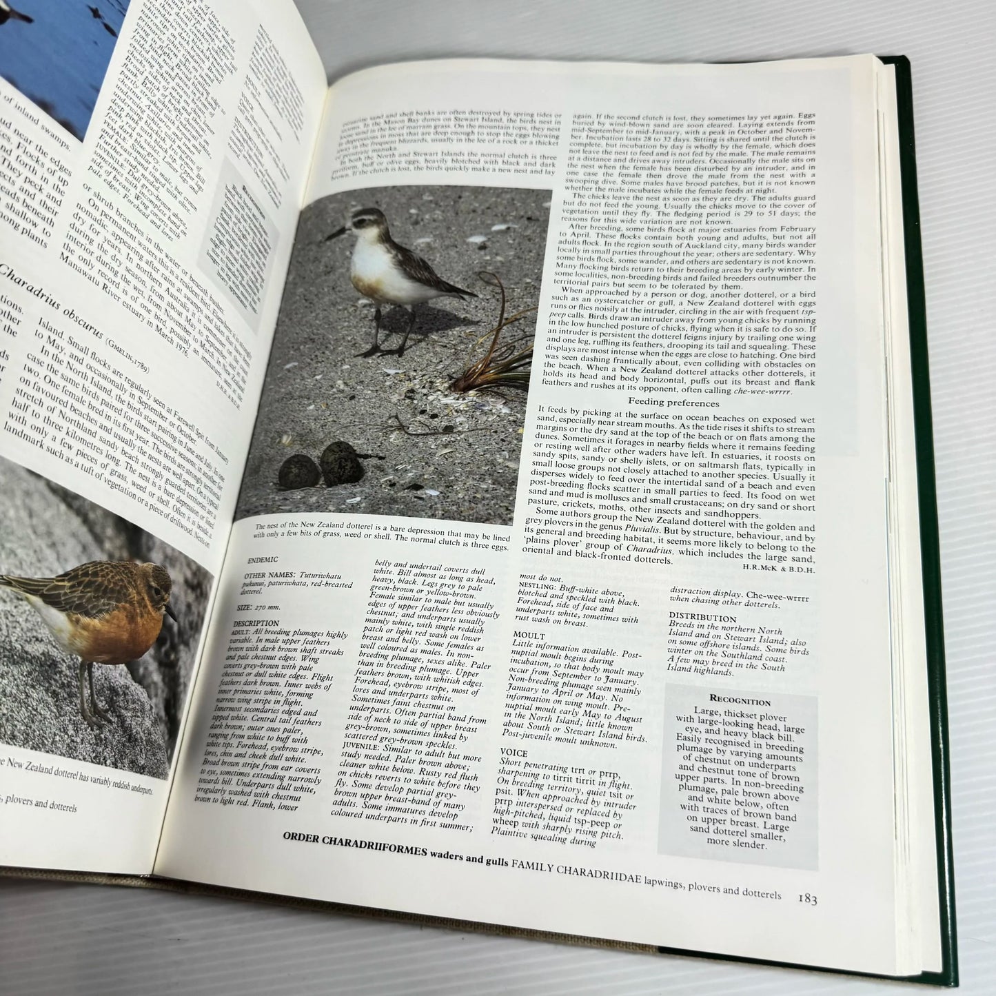 Reader's Digest Complete Book Of New Zealand Birds
