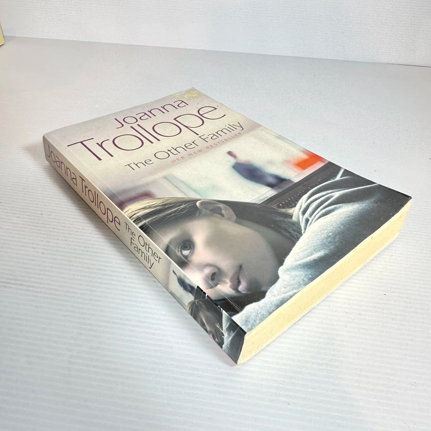 The Other Family - Joanna Trollope