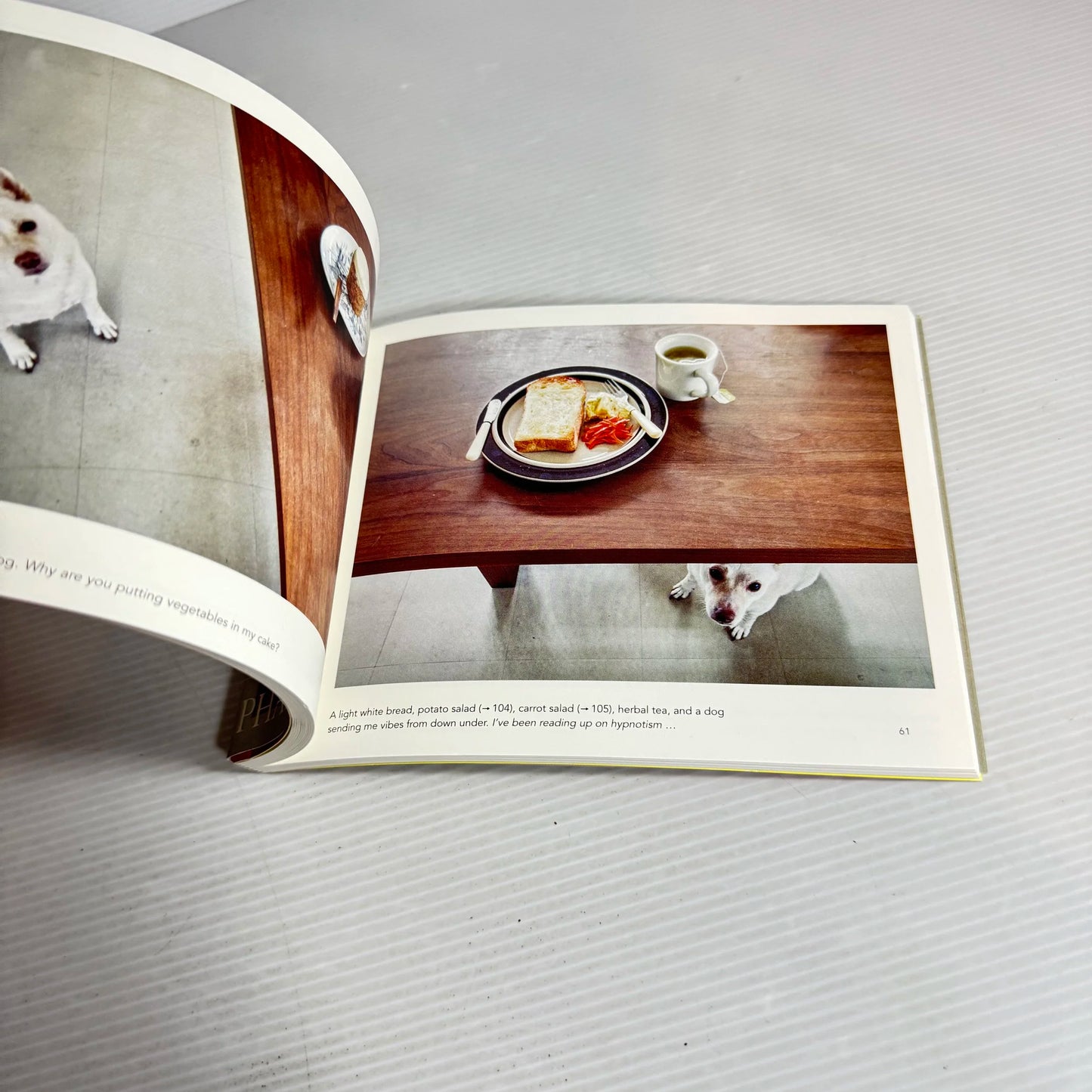 Bread And A Dog - Natsuko Kuwahara