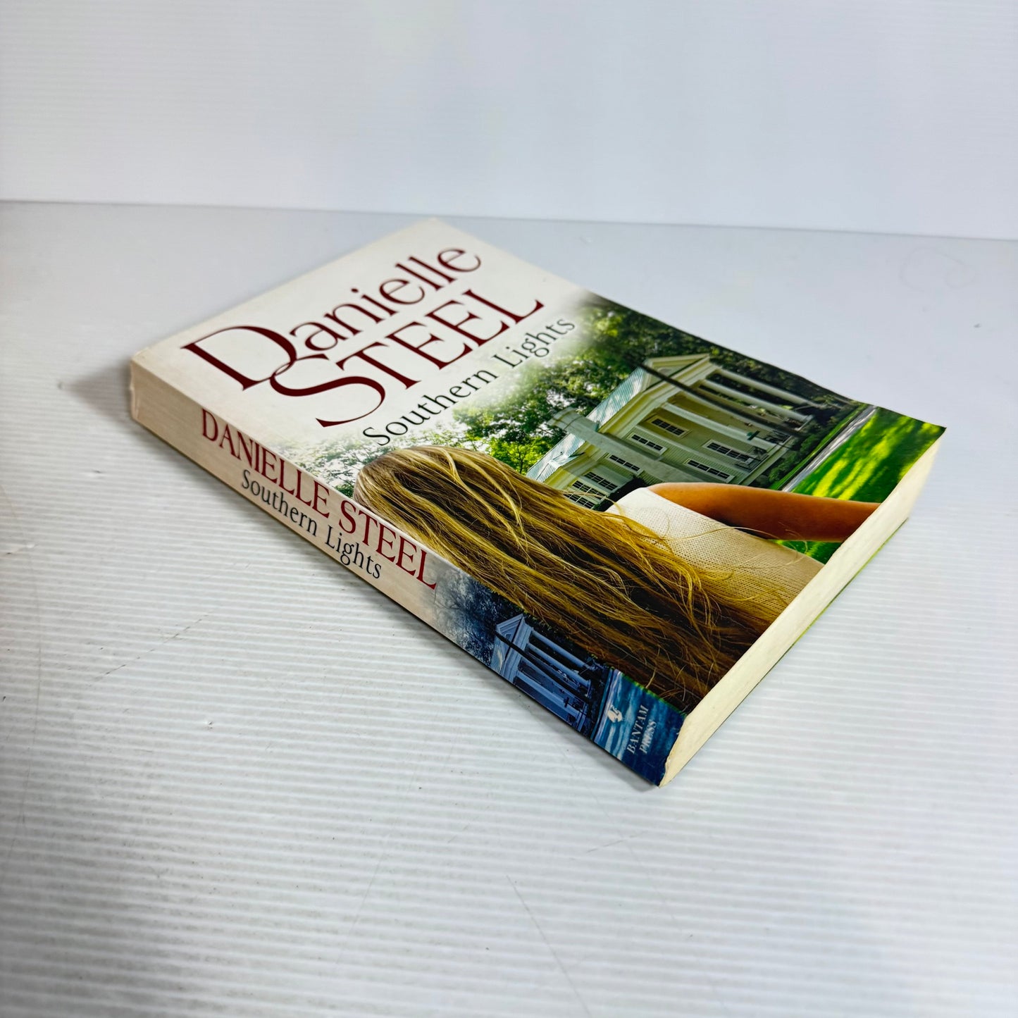 Southern Lights - Danielle Steel