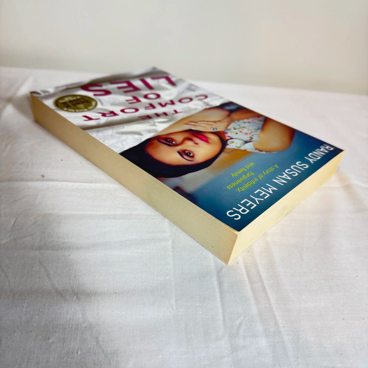 The Comfort of Lies - Randy Susan Myers