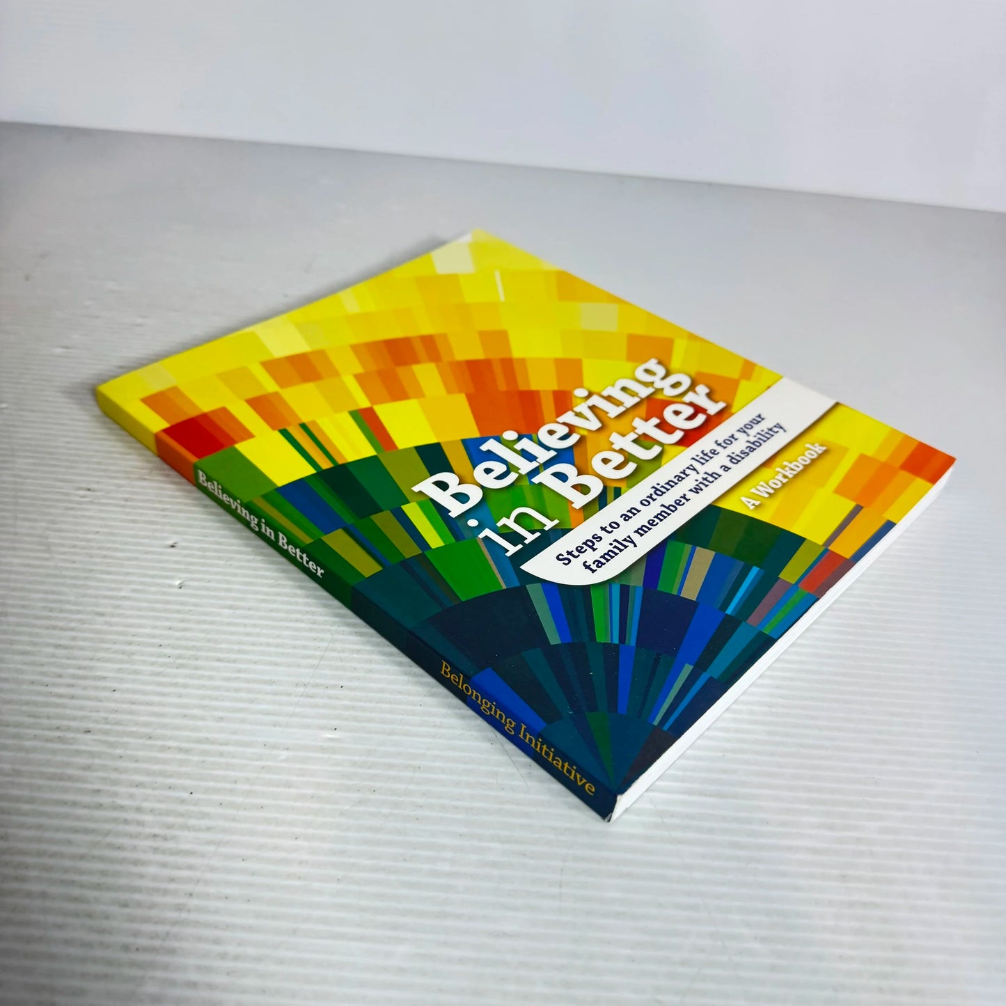 Believing In Better: Steps To An Ordinary Life For Your Family Member With A Disability - A Workbook