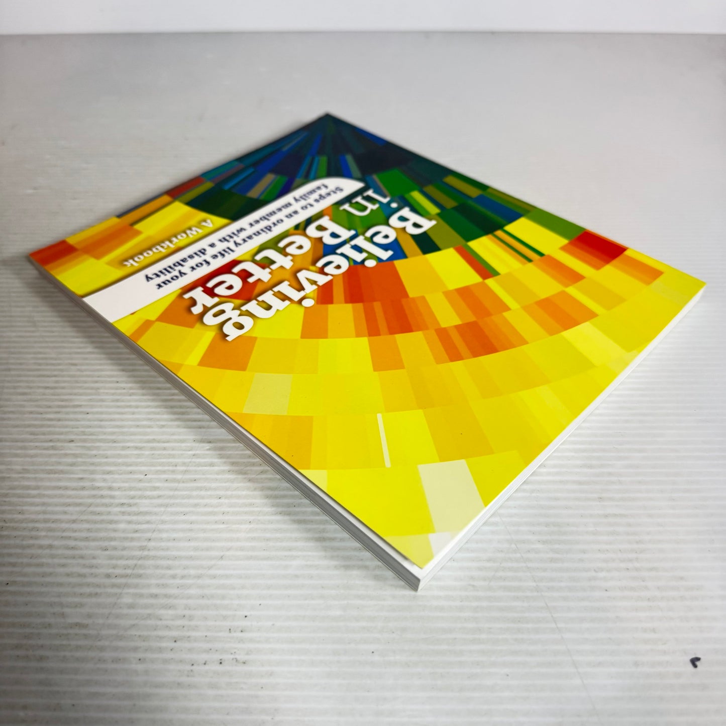 Believing In Better: Steps To An Ordinary Life For Your Family Member With A Disability - A Workbook