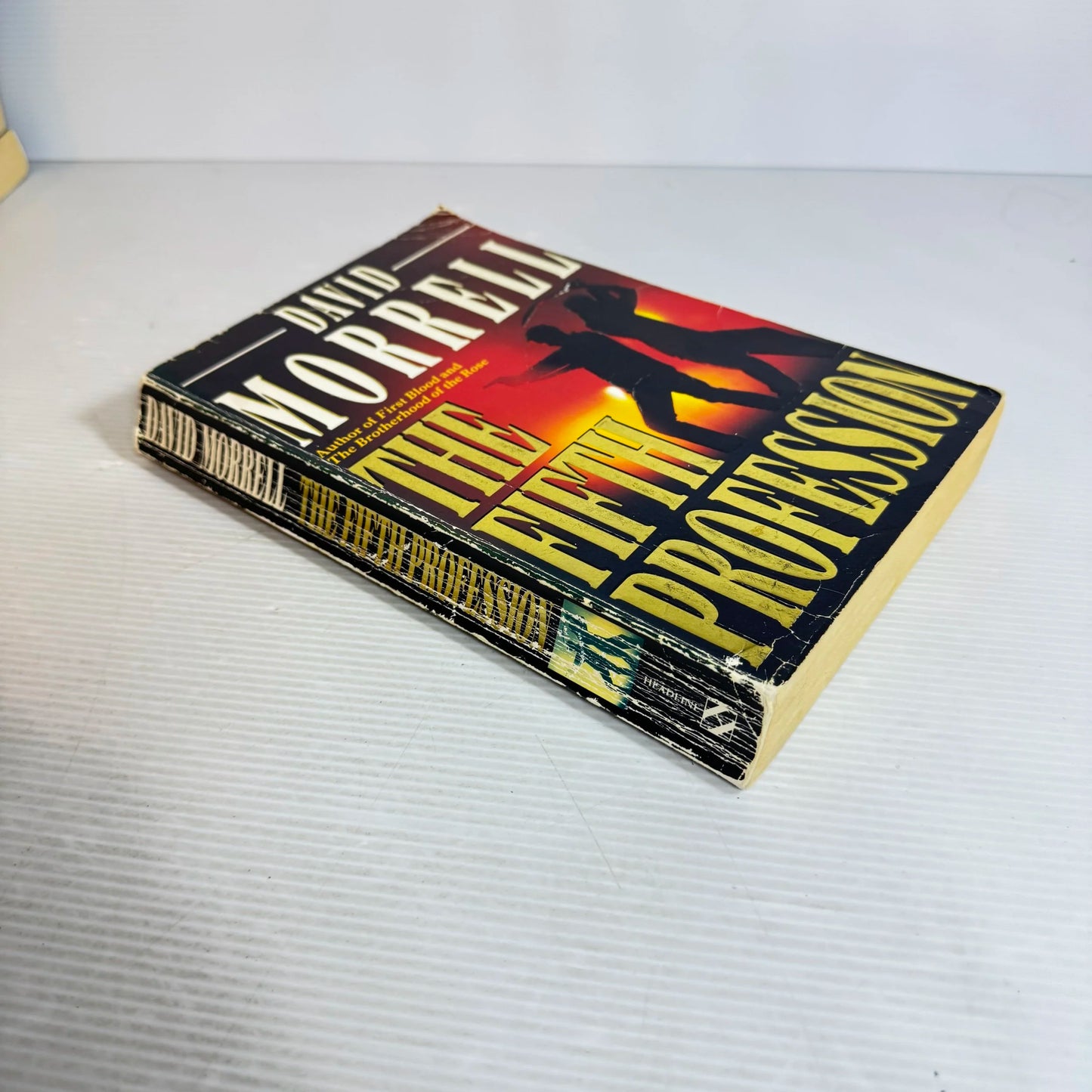 The Fifth Profession - David Morrell