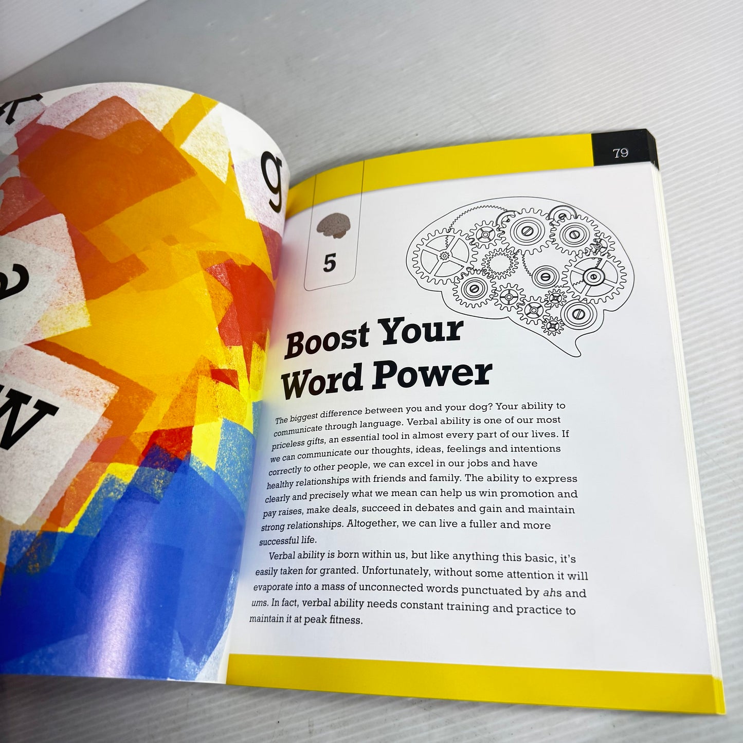 Neurobics - Create Your Own Brain Training Programme - Chris Maslanka And David Owen