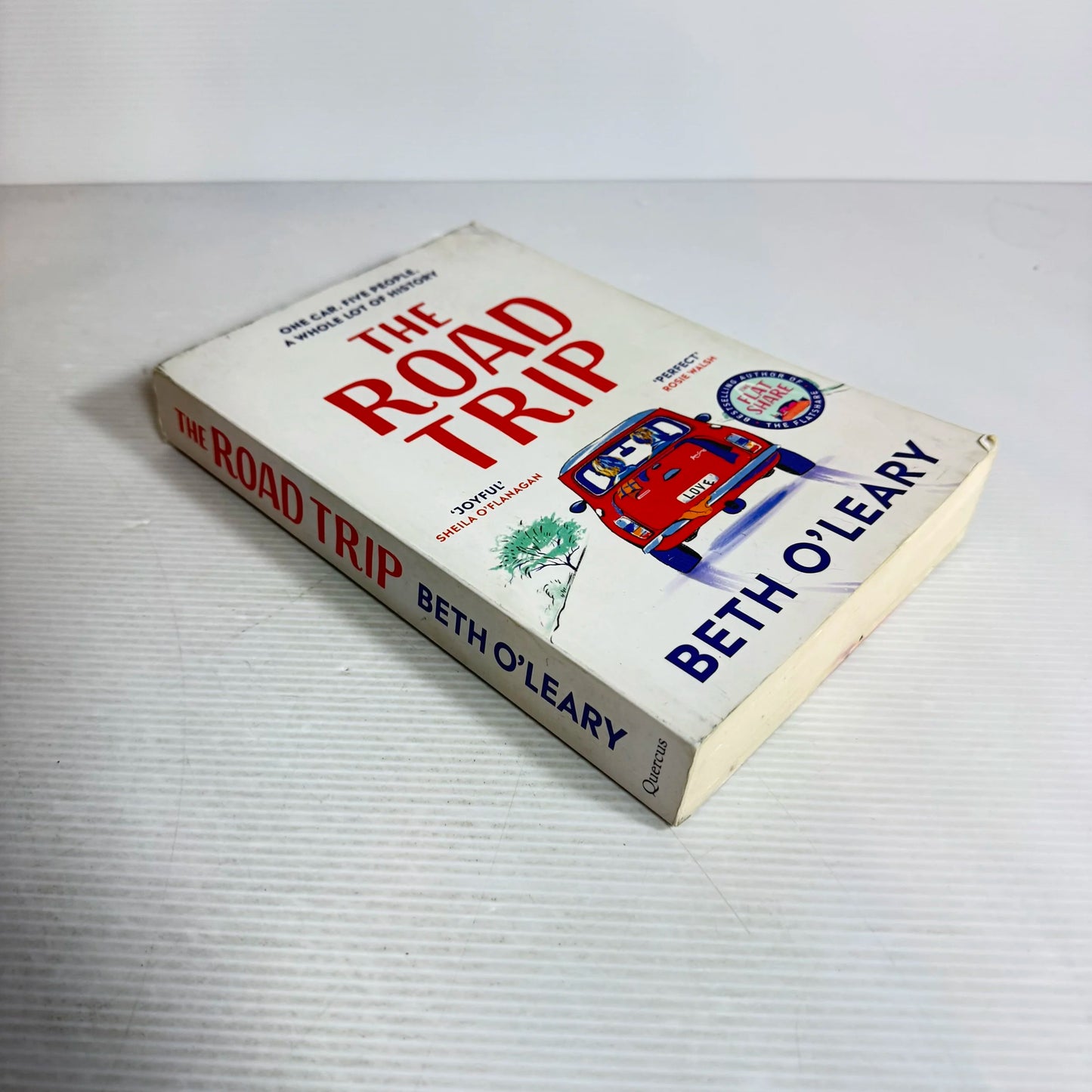 The Road Trip - Beth O'Leary