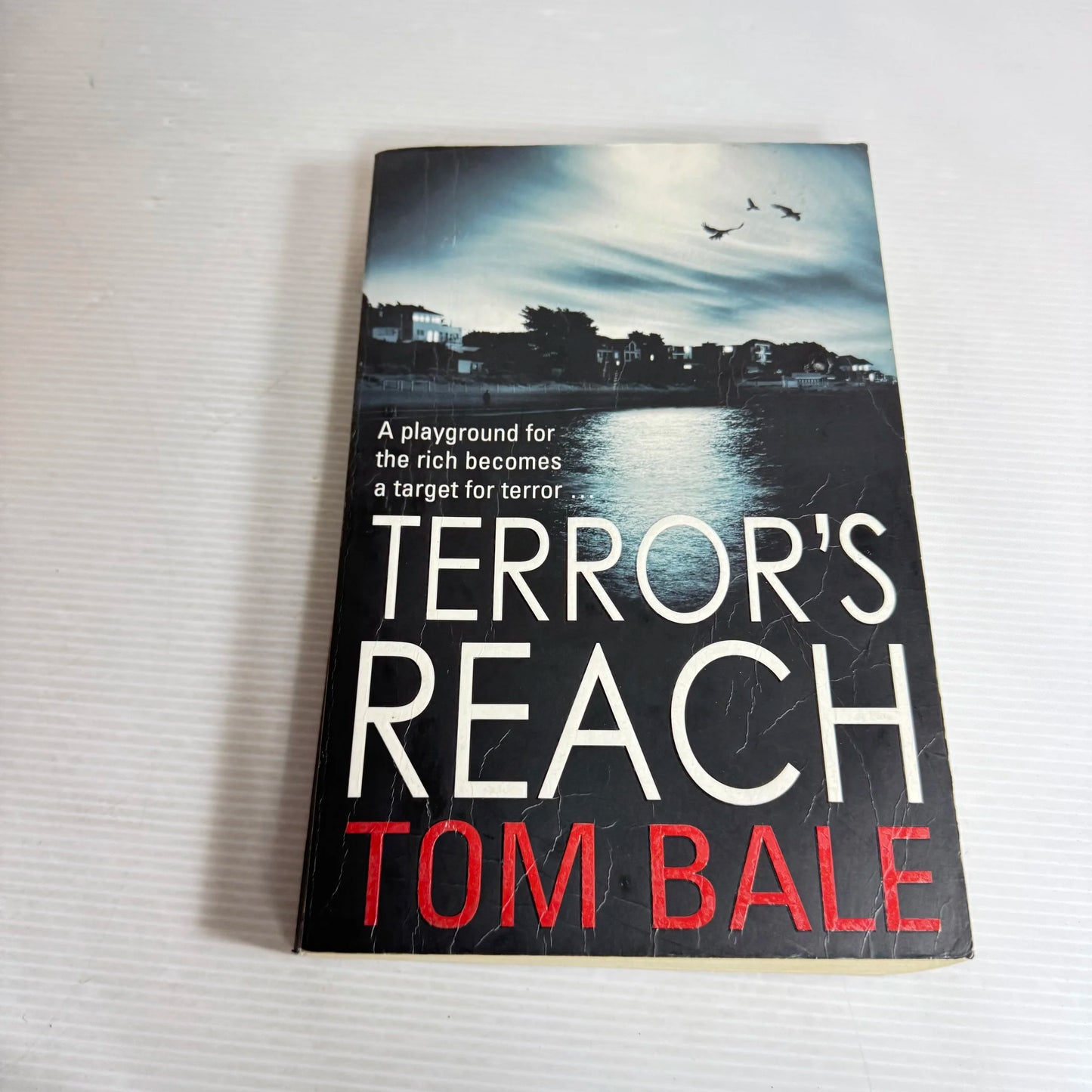 Terror's Reach - Tom Bale