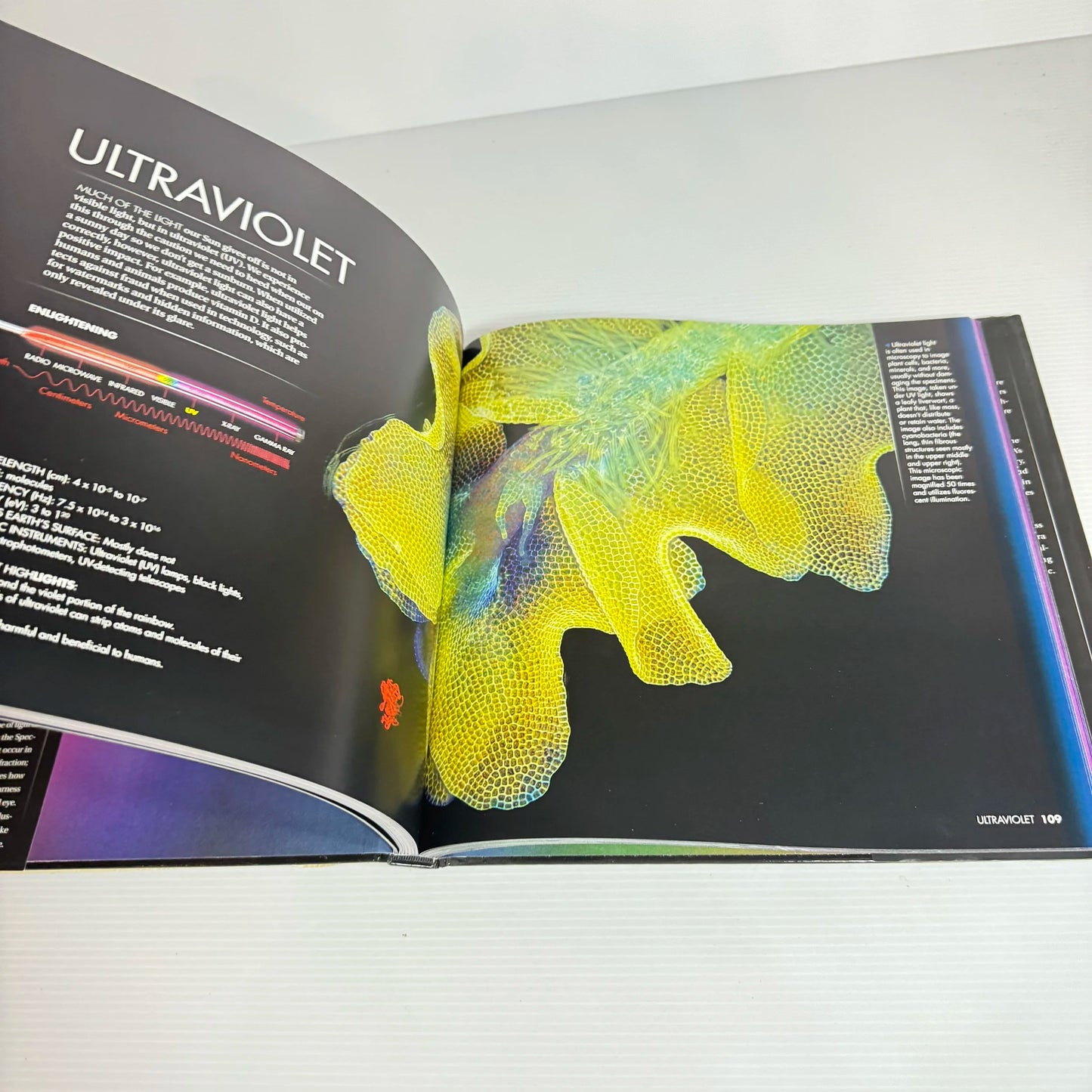 Light : The Visible Spectrum and Beyond - Kimberley Arcand and Megan Watzke