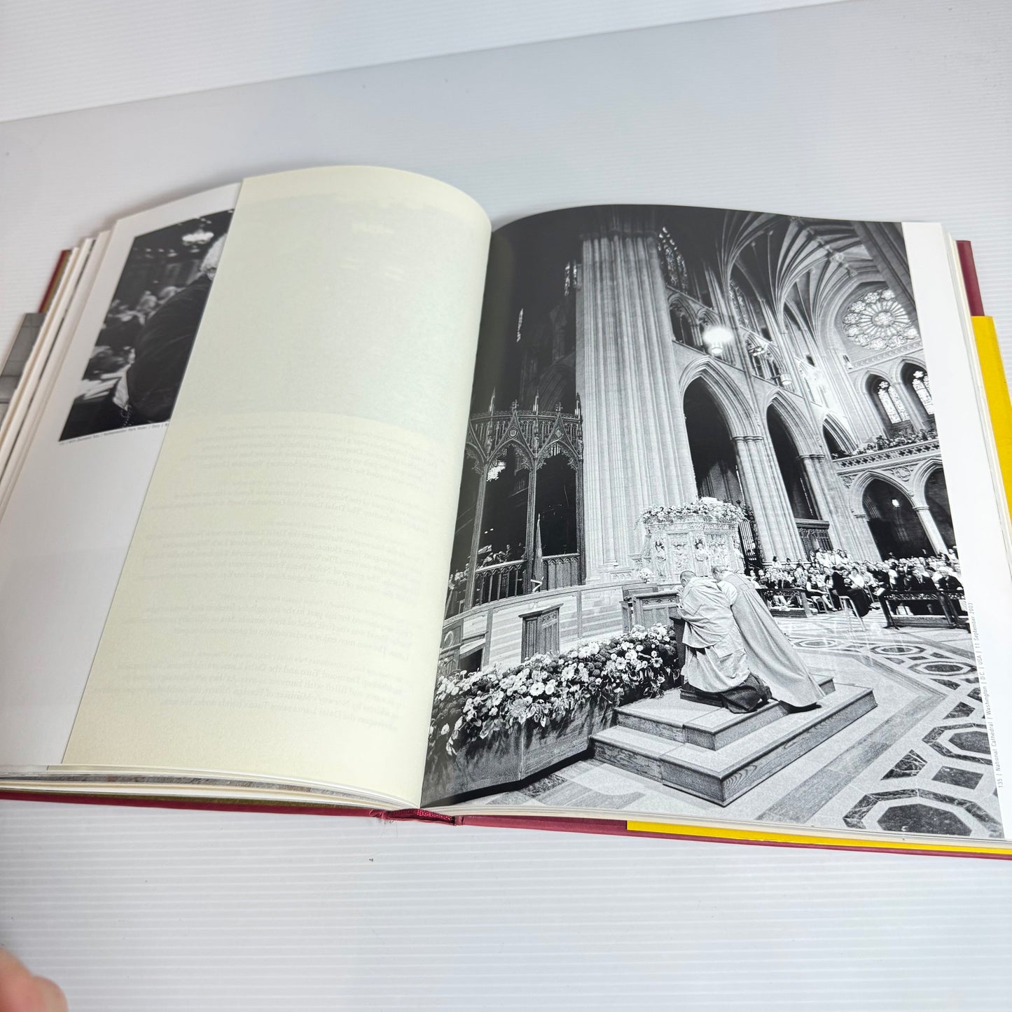 Journey For Peace : His Holiness the 14th Dalai Lama - Matthieu Richard & Christian Schmidt and Photography by Manuel Bauer