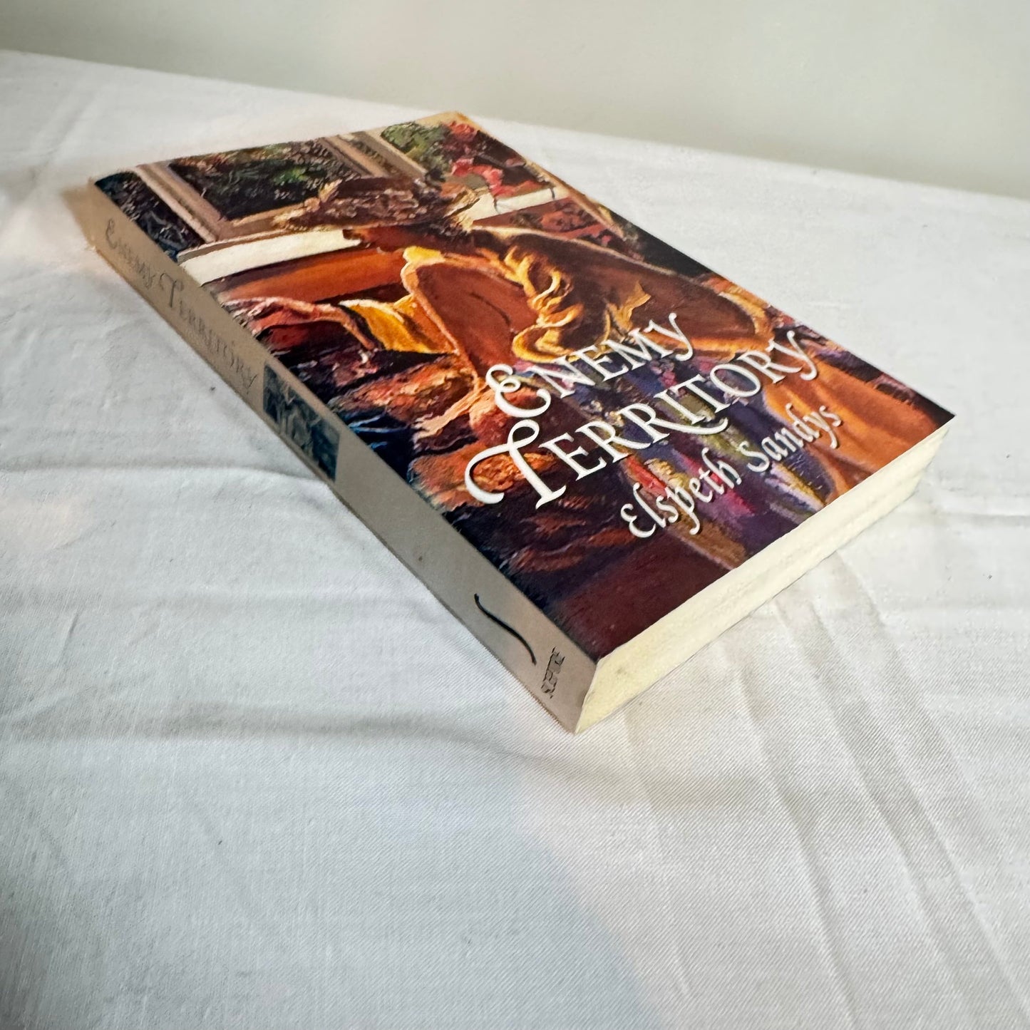 Enemy Territory - Elspeth Sandys