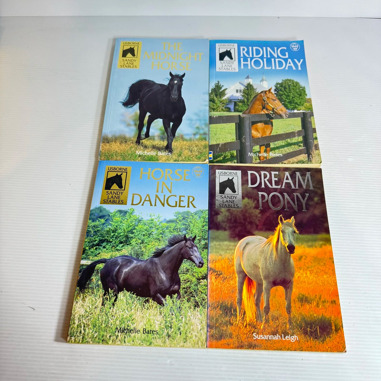 Sandy Lane Stables Book Bundle x 4 The Midnight Horse, Riding Holiday, Dream Pony, & Horse in Danger