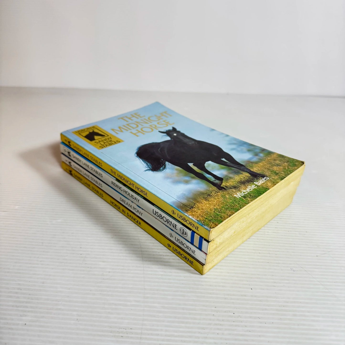 Sandy Lane Stables Book Bundle x 4 The Midnight Horse, Riding Holiday, Dream Pony, & Horse in Danger