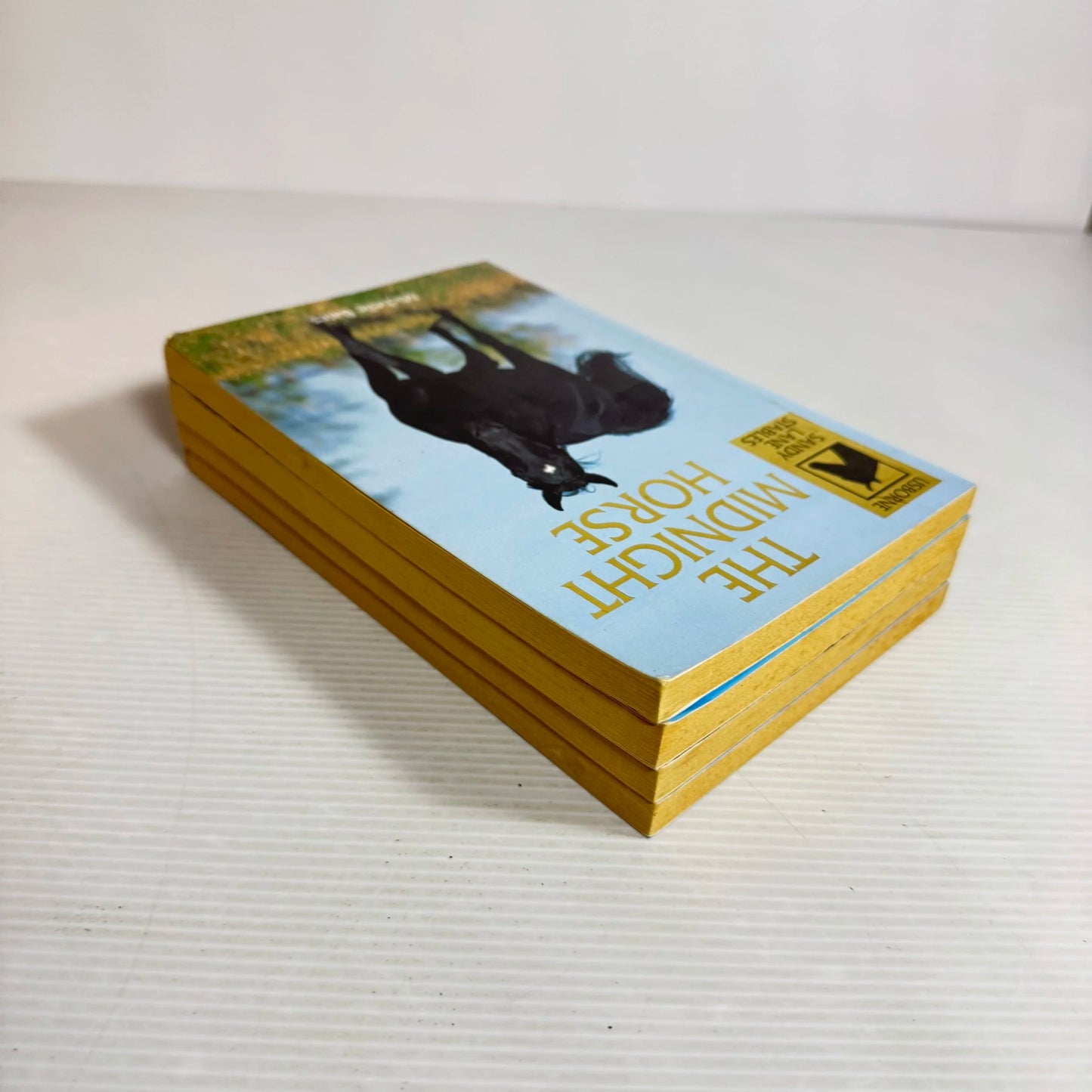 Sandy Lane Stables Book Bundle x 4 The Midnight Horse, Riding Holiday, Dream Pony, & Horse in Danger