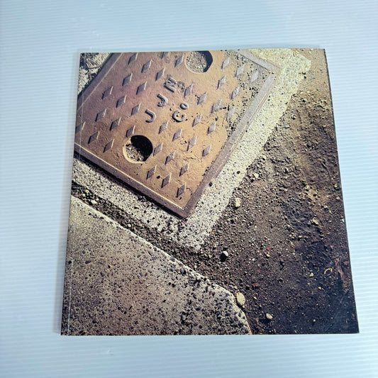 Down to Earth: Boyle Family in New Zealand - An Exhibition held in Auckland City Art Gallery 1990 (Vintage)