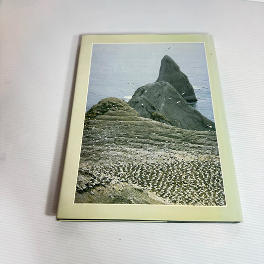 New Zealand Birds - Kowhai (Vintage 1991)