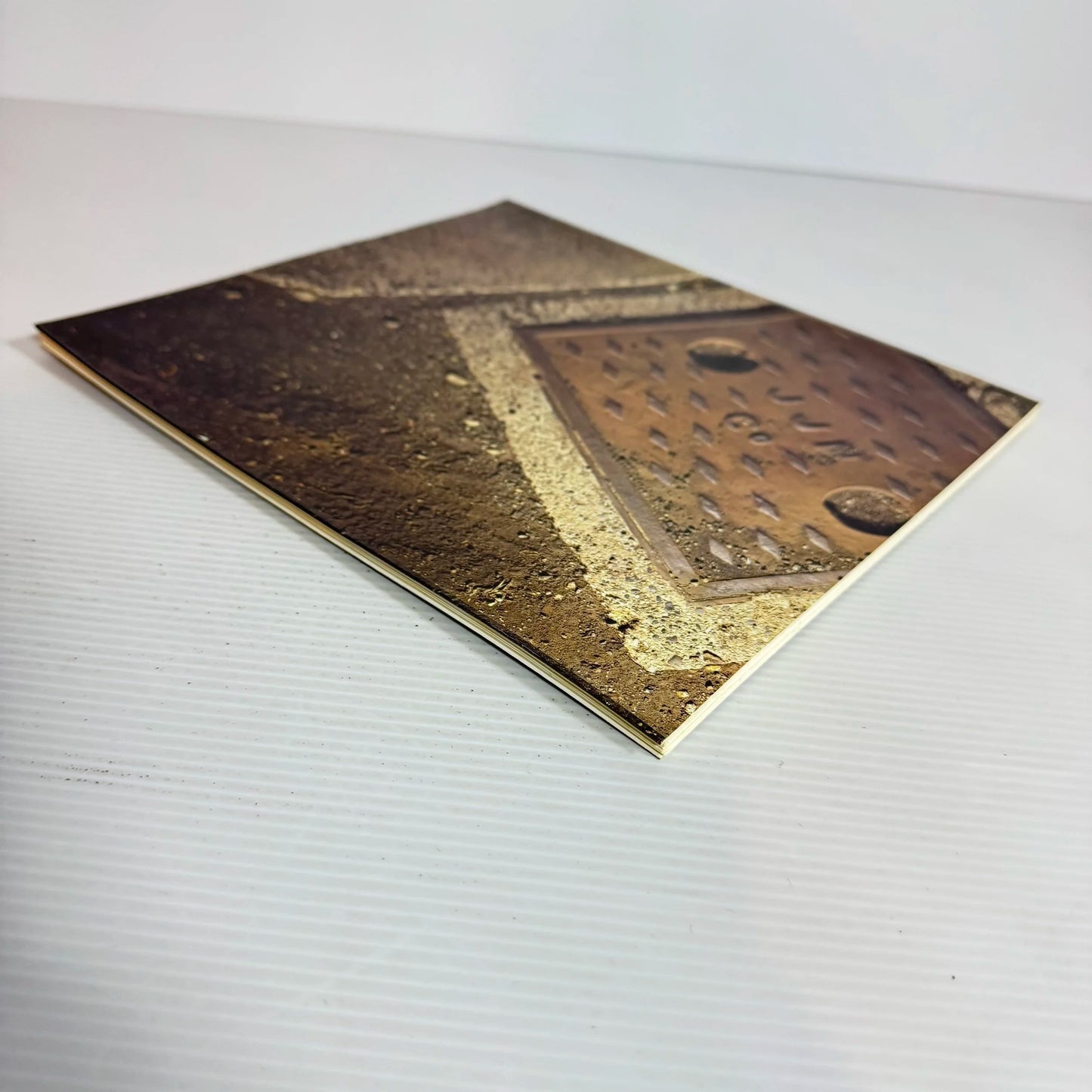 Down to Earth: Boyle Family in New Zealand - An Exhibition held in Auckland City Art Gallery 1990 (Vintage)