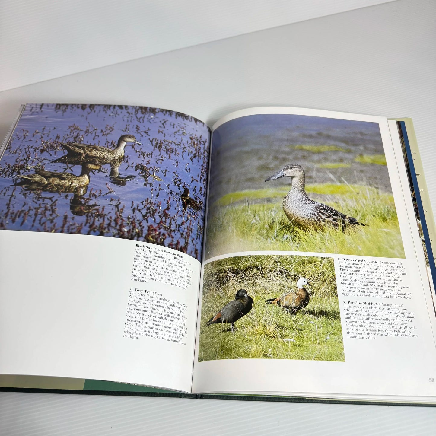 New Zealand Birds - Kowhai (Vintage 1991)