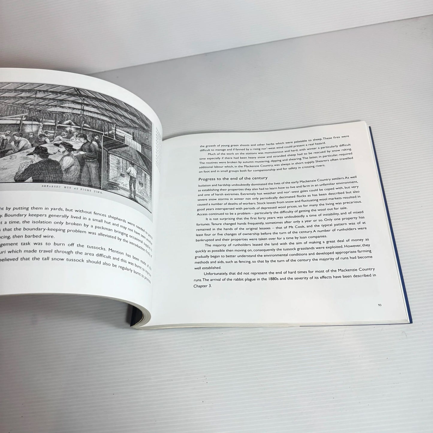 The Mackenzie Country : A Fine Plain Behind the Snowy Range - David Relph