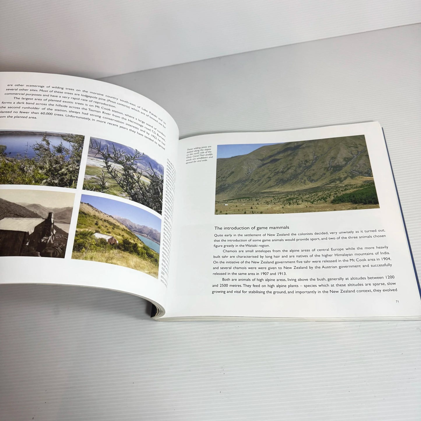 The Mackenzie Country : A Fine Plain Behind the Snowy Range - David Relph